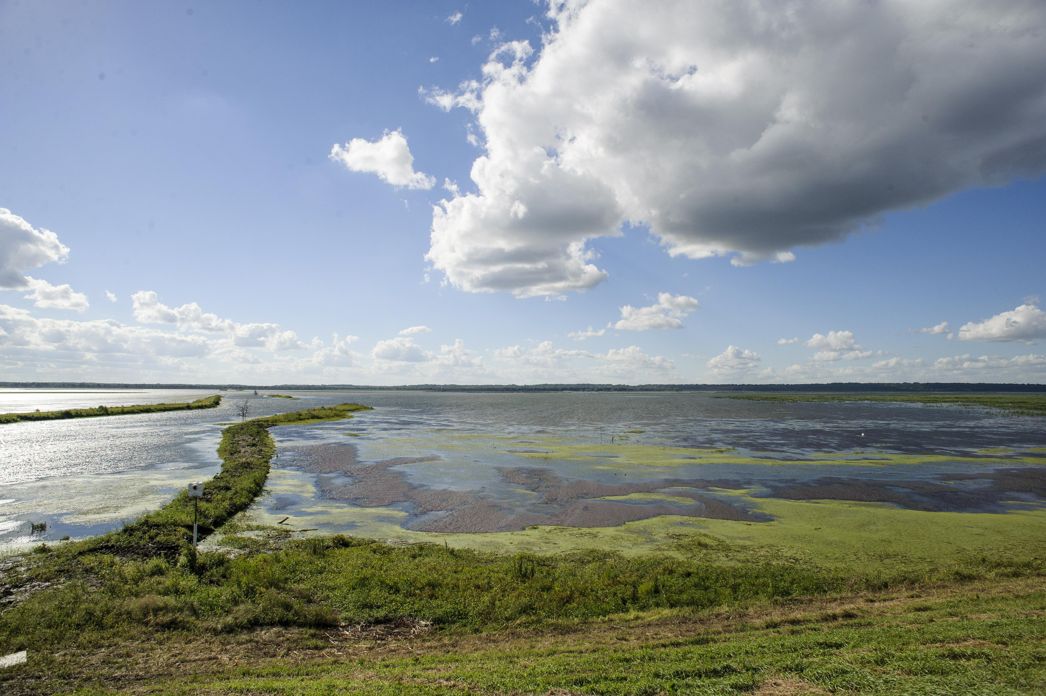 An expansive view from the shore at Emiquon with a blue sky with clouds.