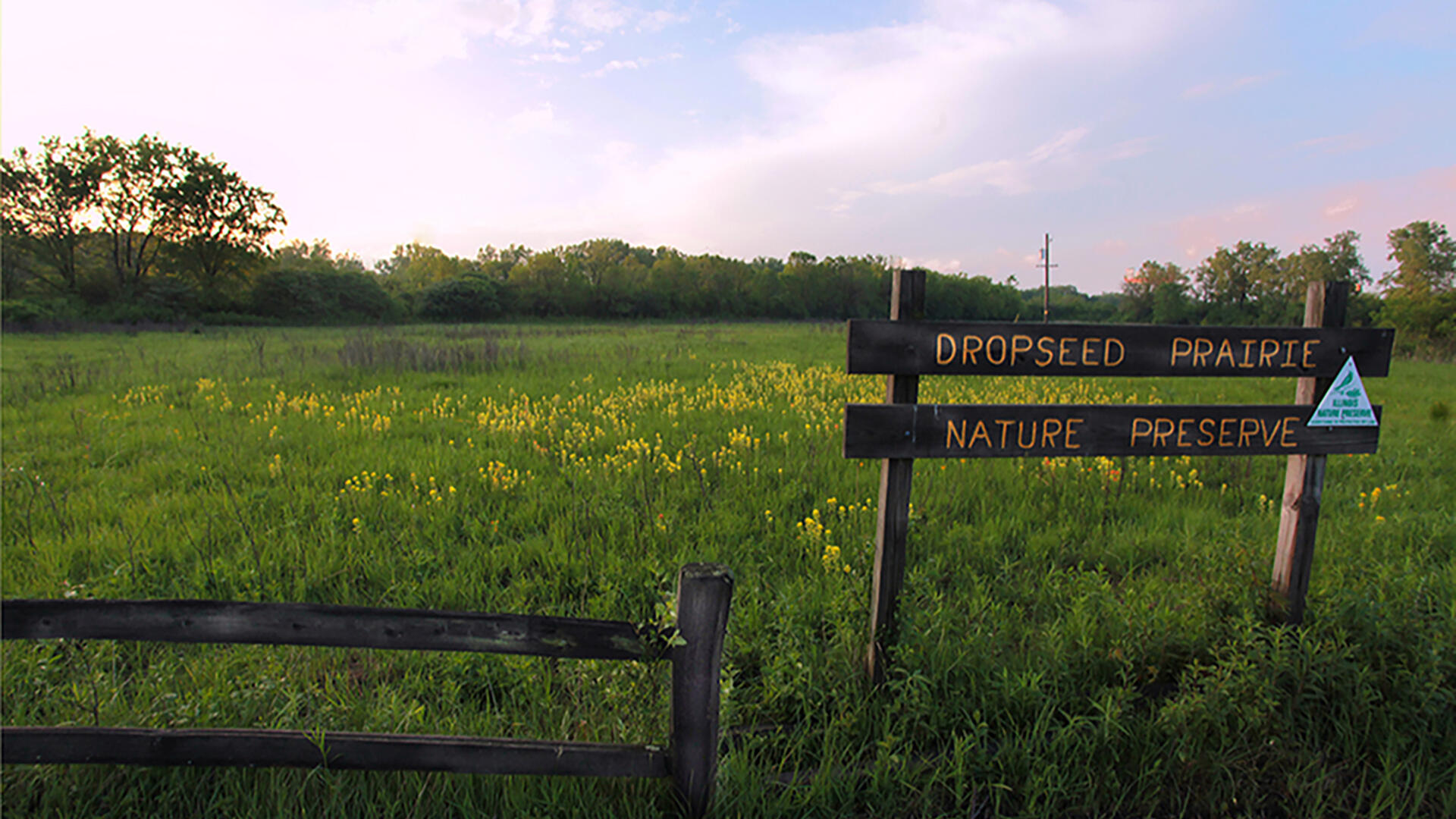 Dropseed Prairie Preserve sign with wildflowers in a field.
