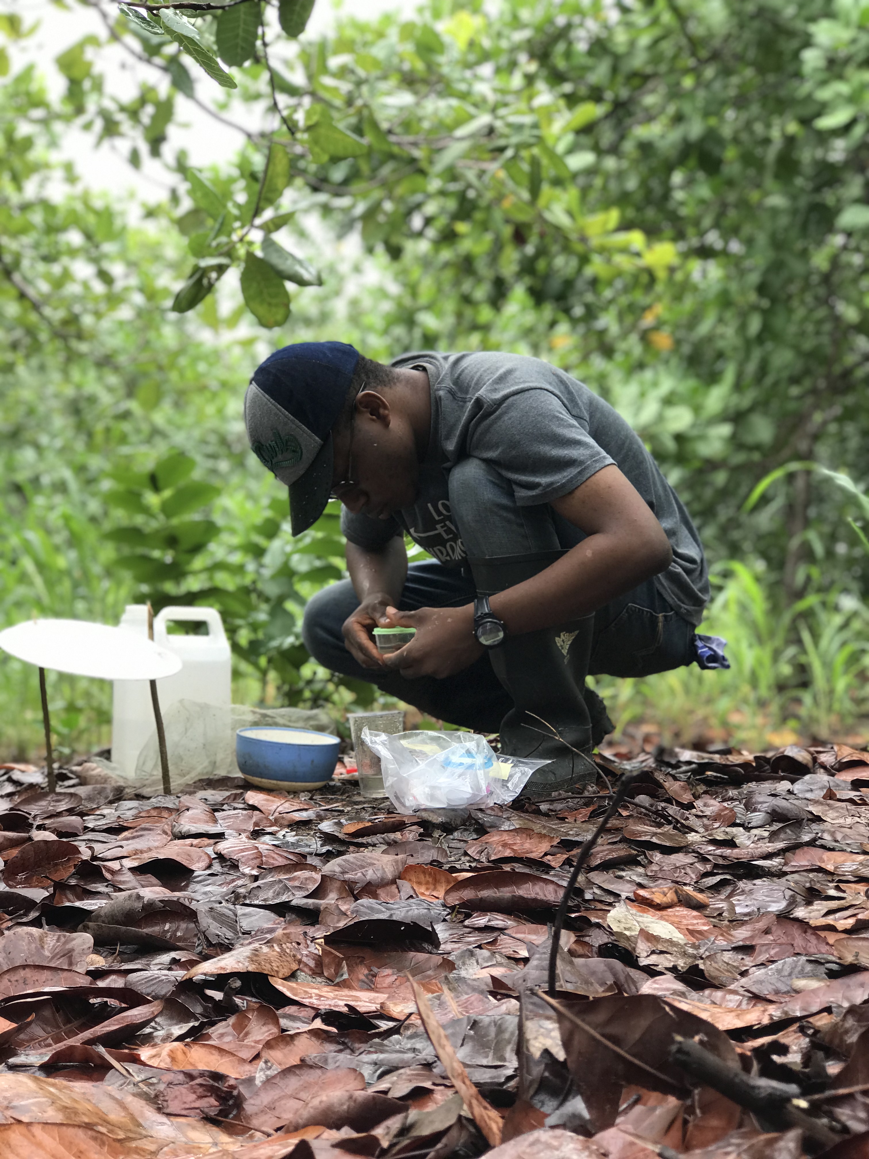 A researcher takes samples in a forest.