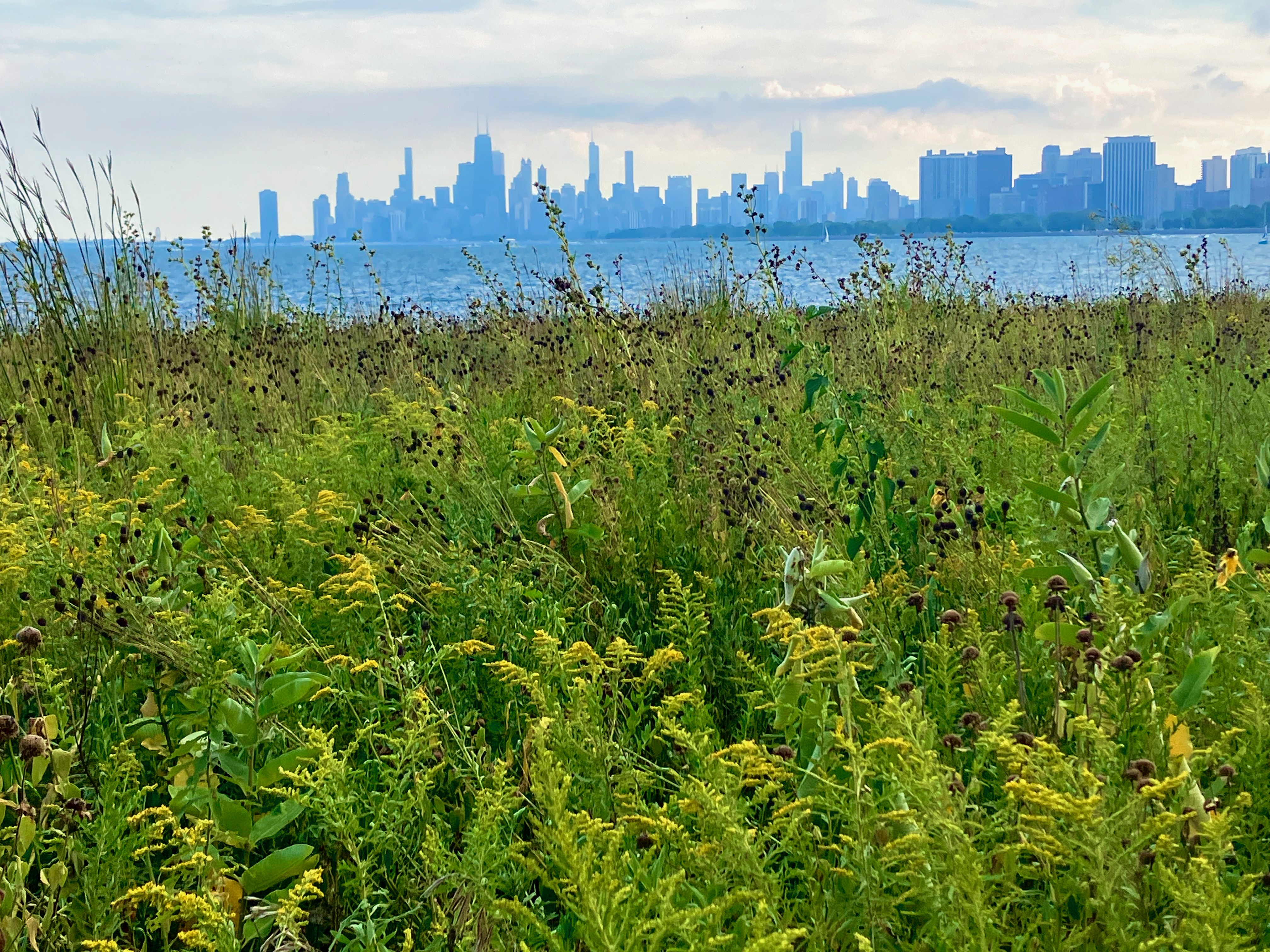 Chicago skyline see from a distance.