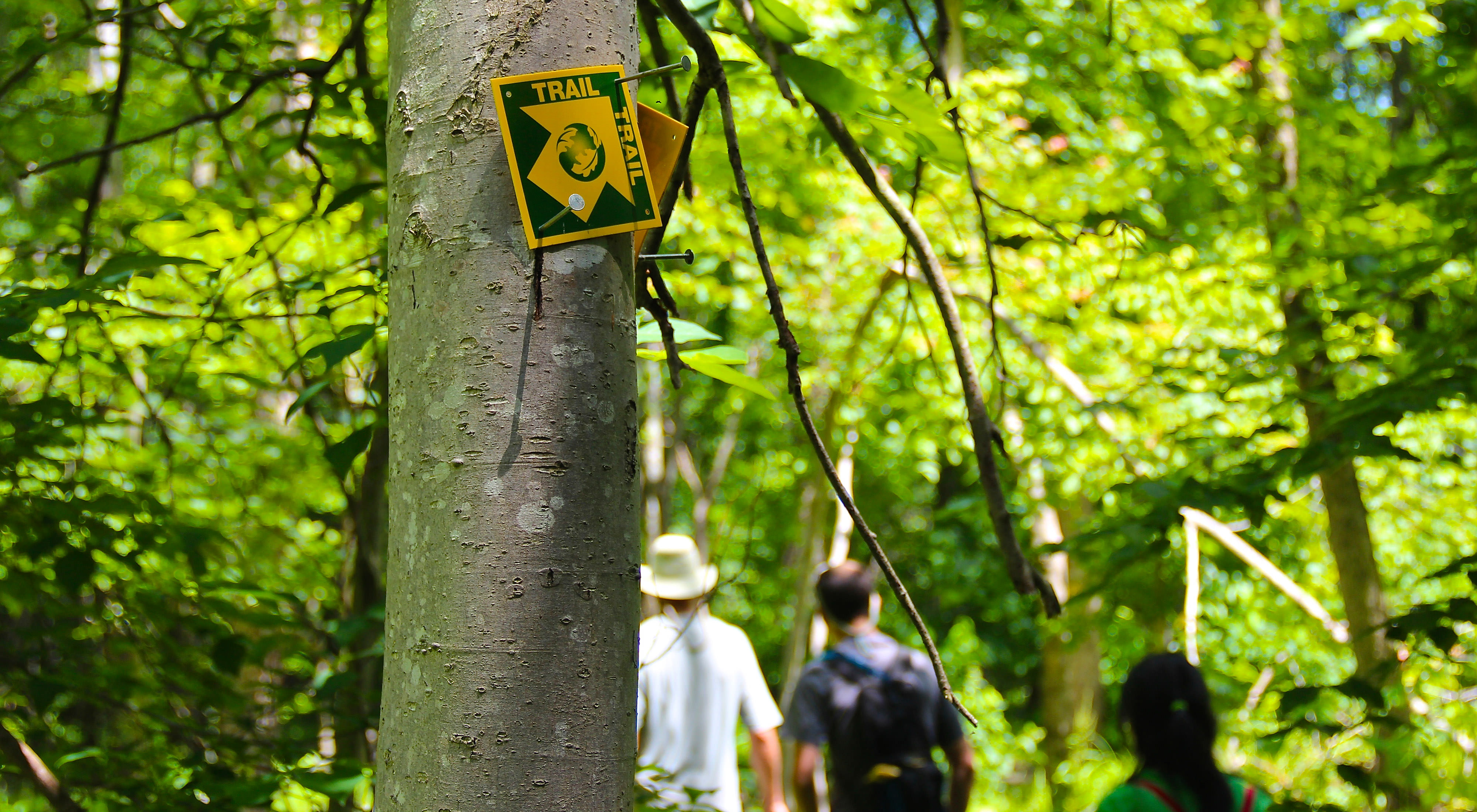Three people walk in the woods with a sign attached to a tree in the upper left corner. 