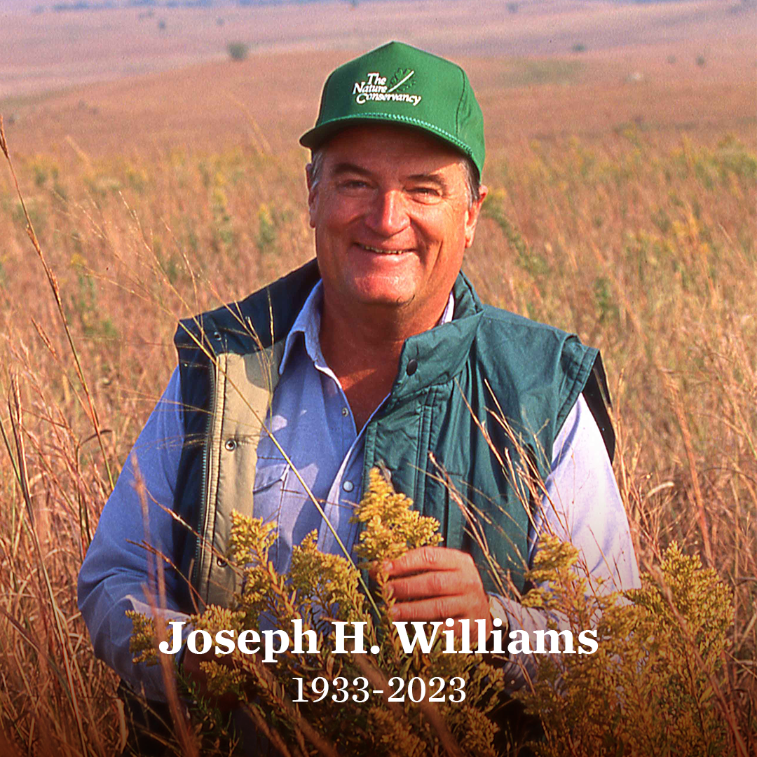 Joseph H. Williams headshot with name and 1933-2013 in text overlay. 