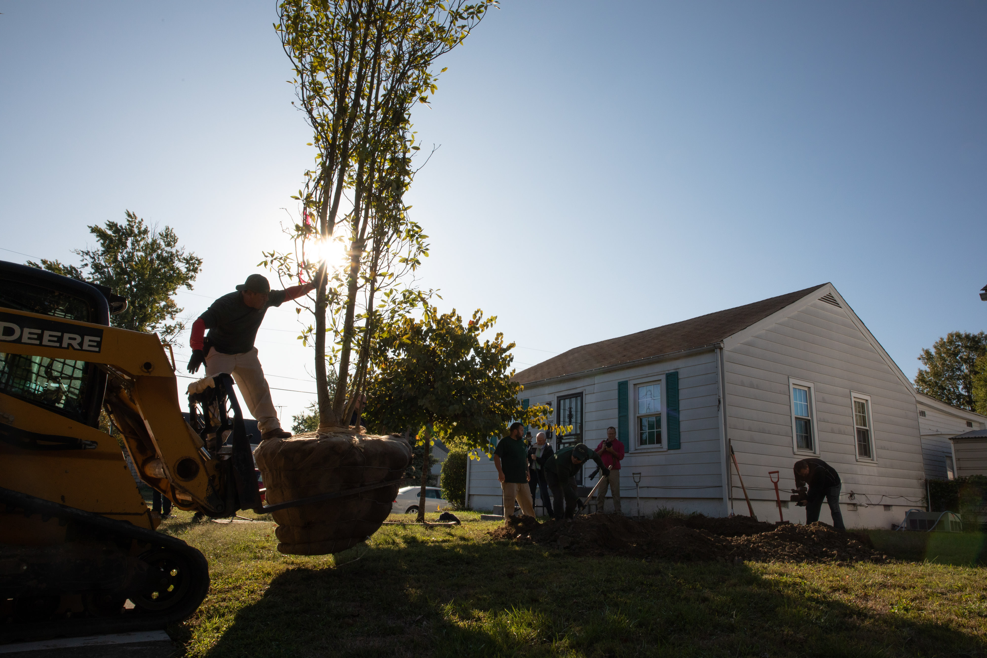 Several people stand outside a small house and dig in the dirt while another person waits nearby with a large tree ready to plant.