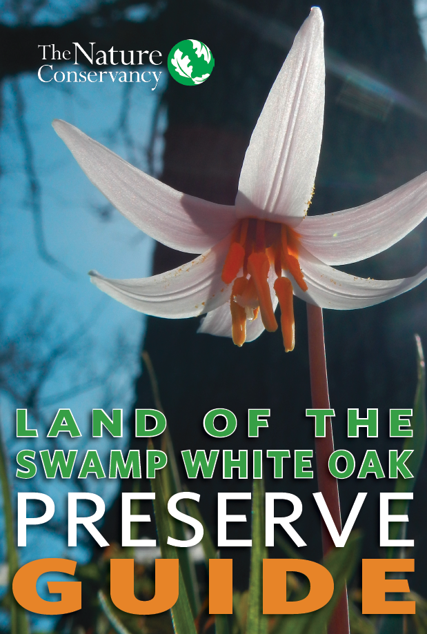Land of Swamp White Oak guidebook.