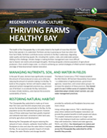 Thumbnail of a factsheet titled Regenerative Agriculture Thriving Farms Healthy Bay. The header shows a wide inlet of water that curves between agricultural fields.