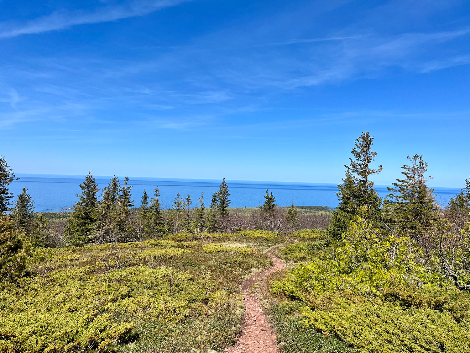 A trail overlooking Lake Superior. 
