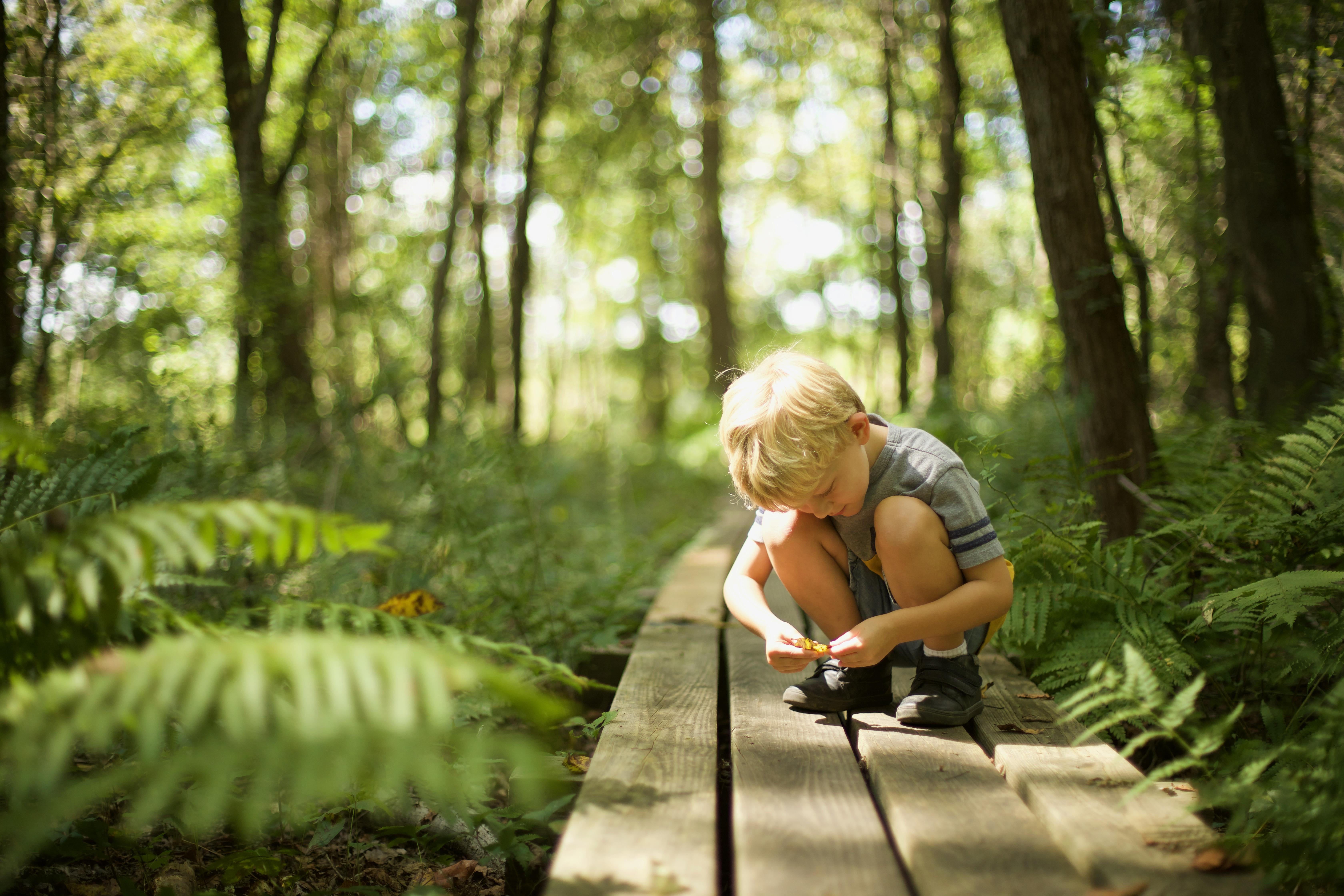 A child crouches on a boardwalk in a forest.
