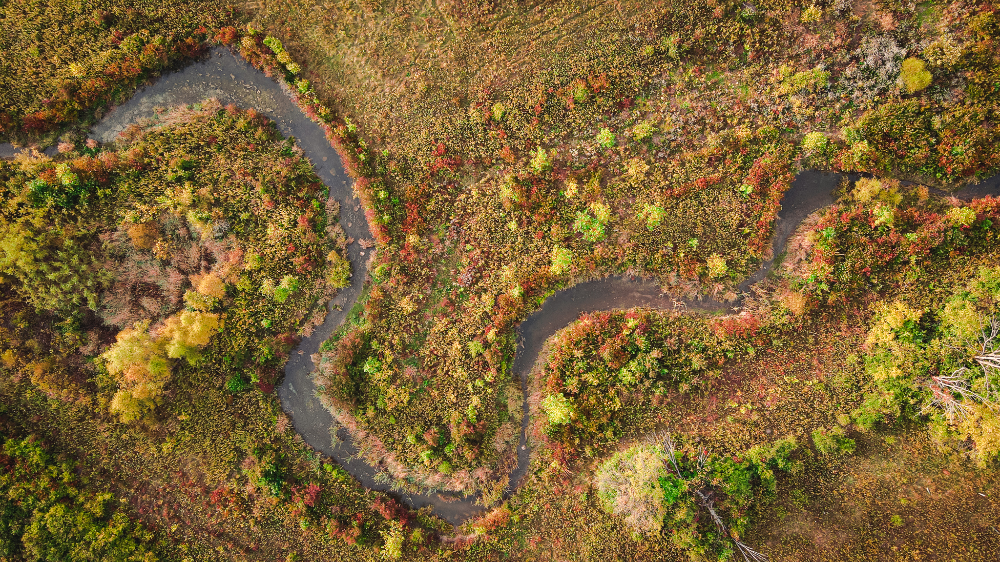 Aerial image of stream at Big Darby Headwaters.