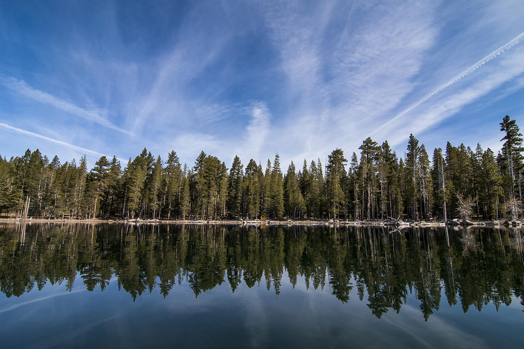 View of Independence Lake and trees on shoreline