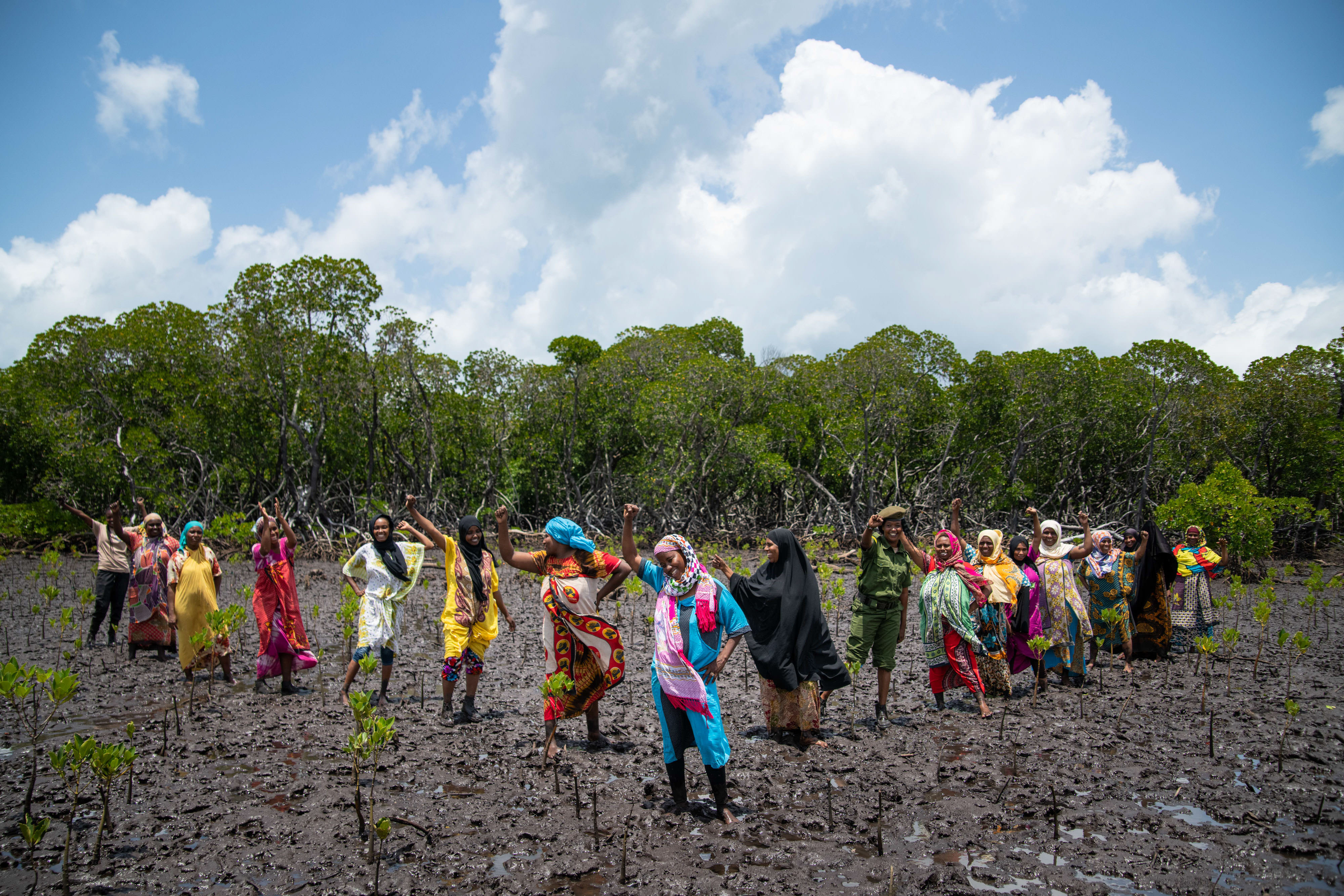 Group of people in a mangrove grove. 