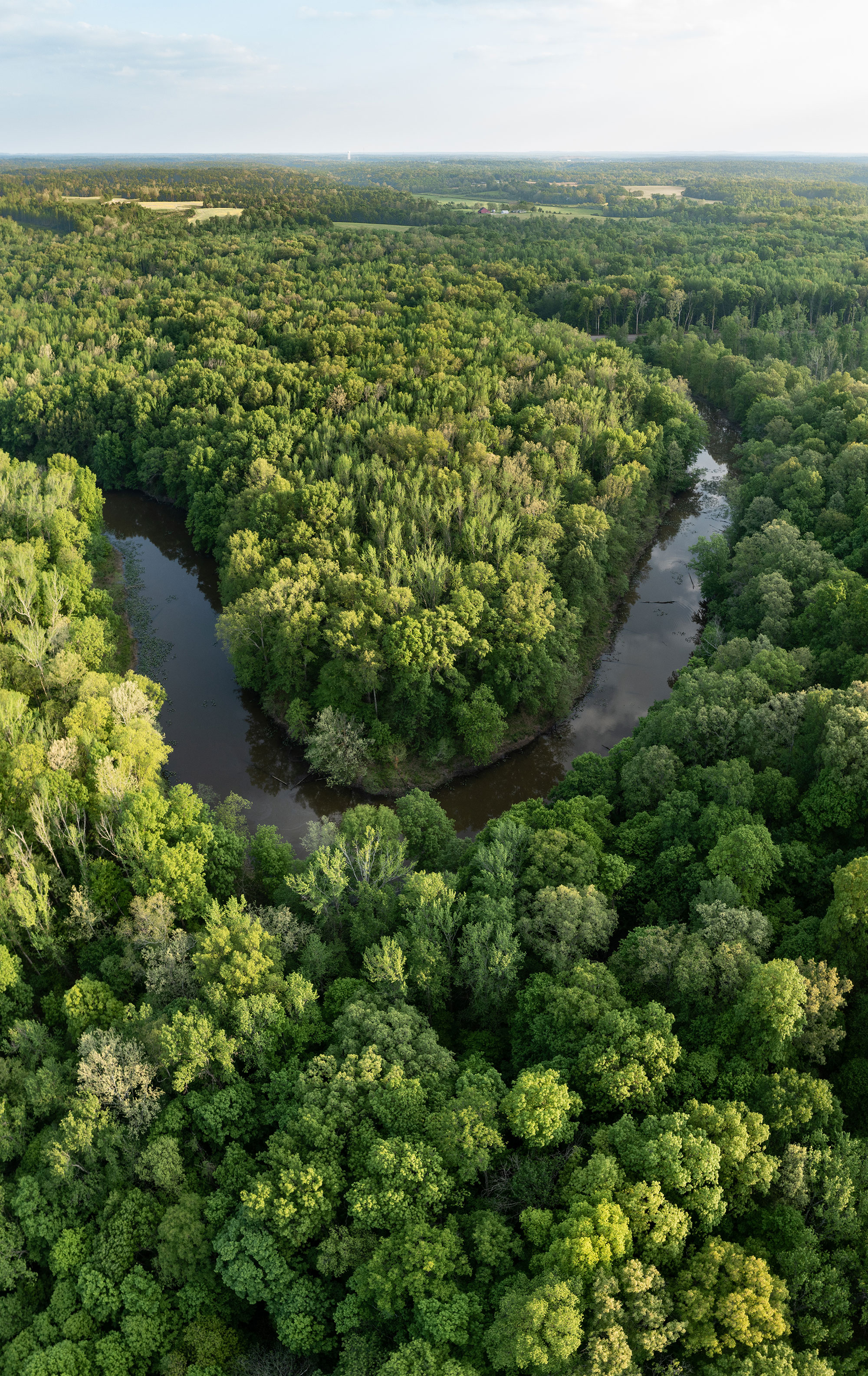Aerial view of an oxbow lake found in the wooded Patoka River National Wildlife Refuge.