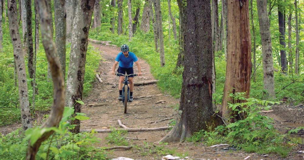 Mountain biker on a forested trail.