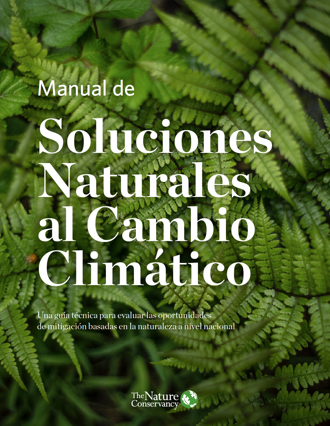 Text that says Natural Climate Solutions Handbook in Spanish with micro shot of ferns.