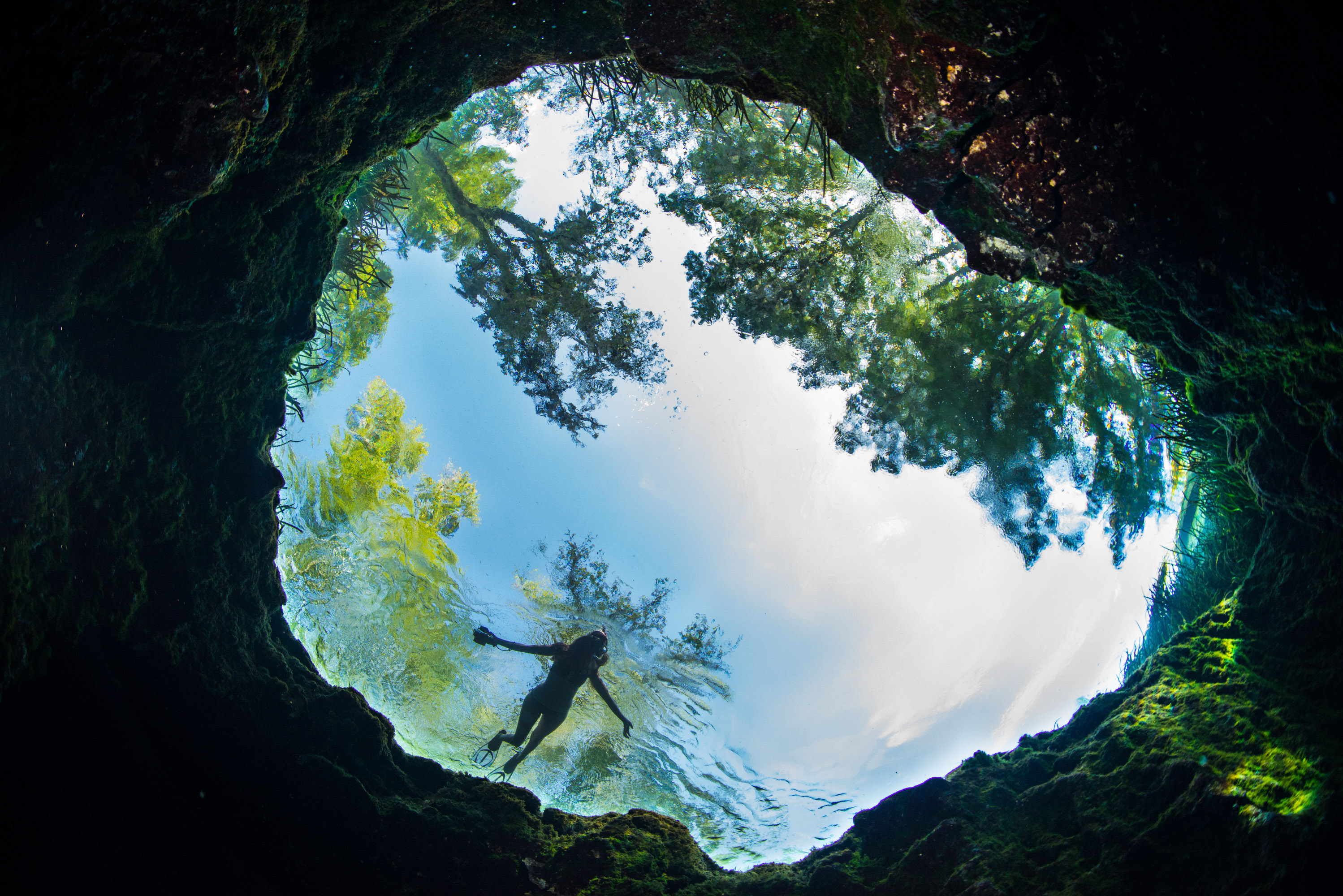 Swimmer in a deep spring at Ichetucknee Springs State Park in Fort White, Florida.