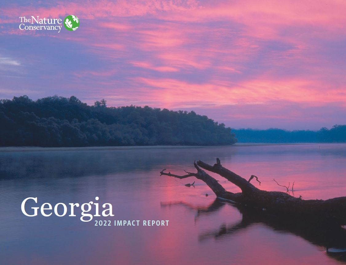 Georgia 2022 Impact Report Cover with sunset on water.