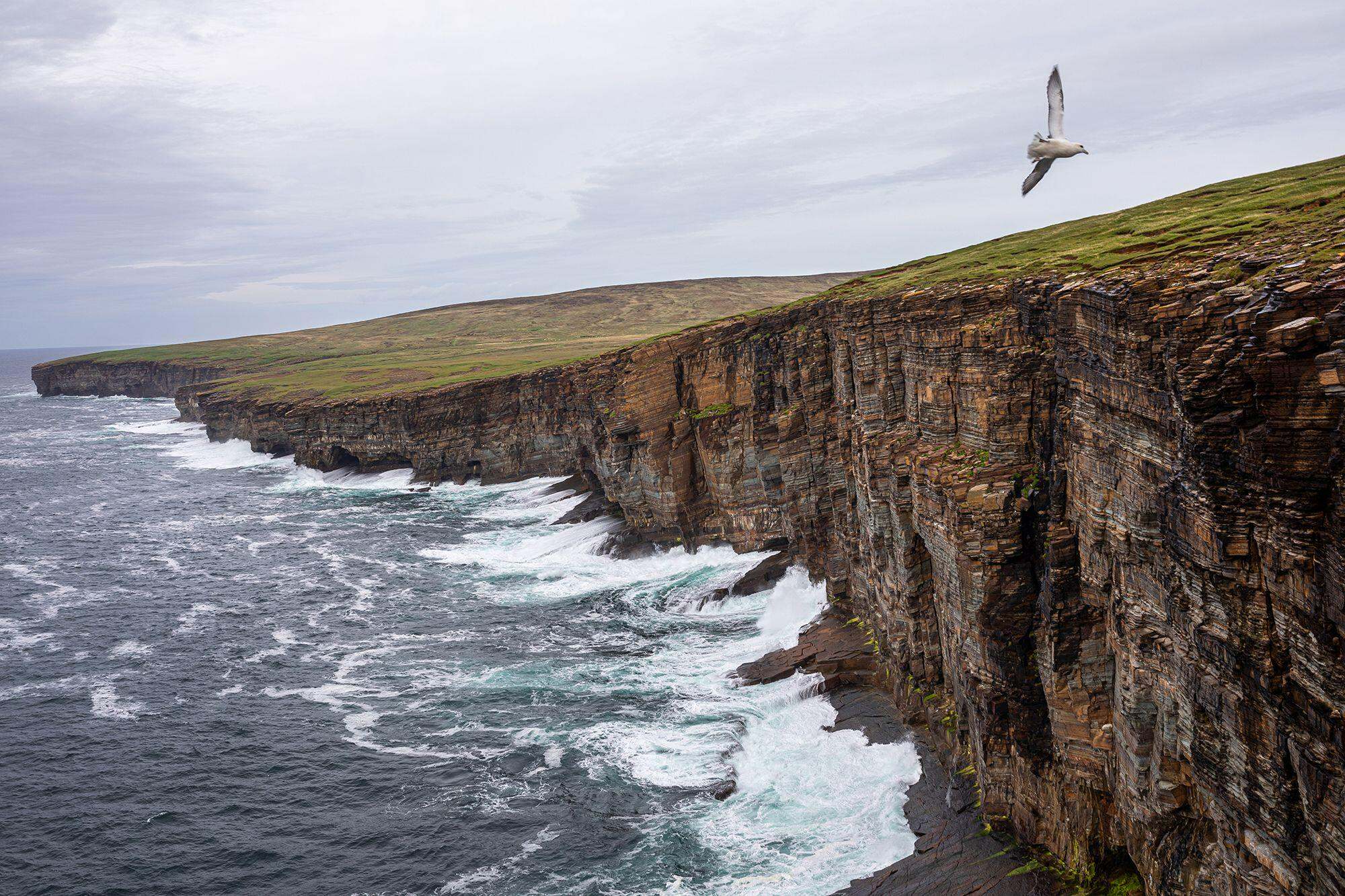 coastal cliffs with birds soaring overhead