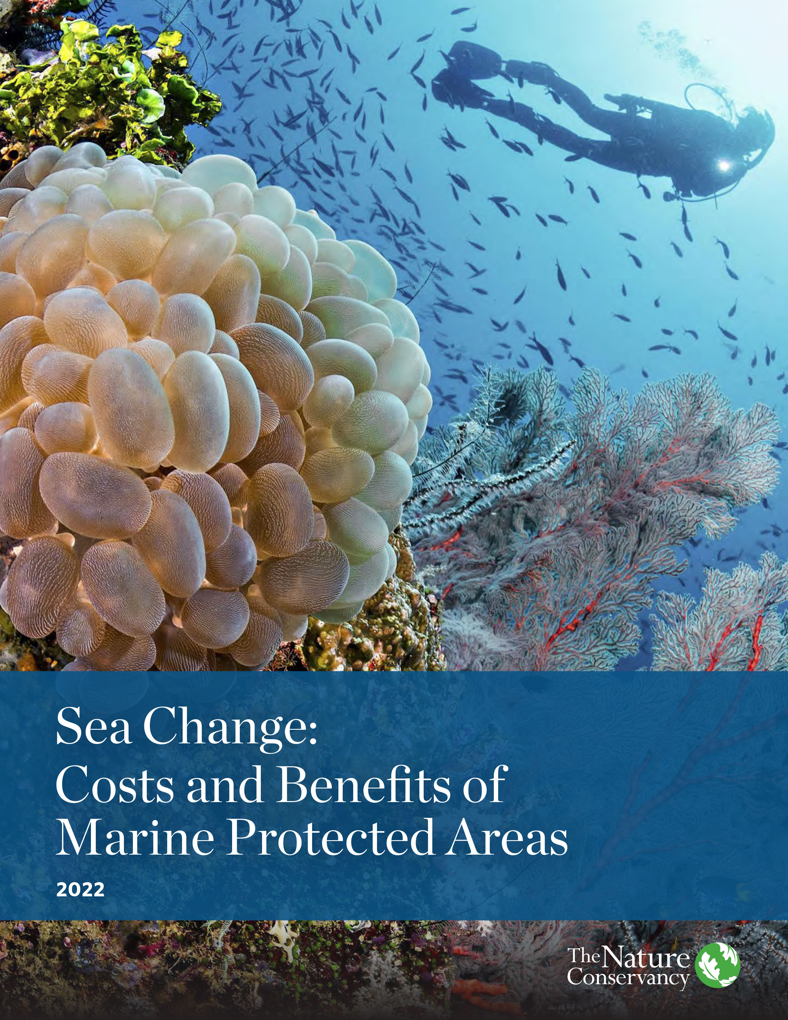 Front page of the Sea Change report.