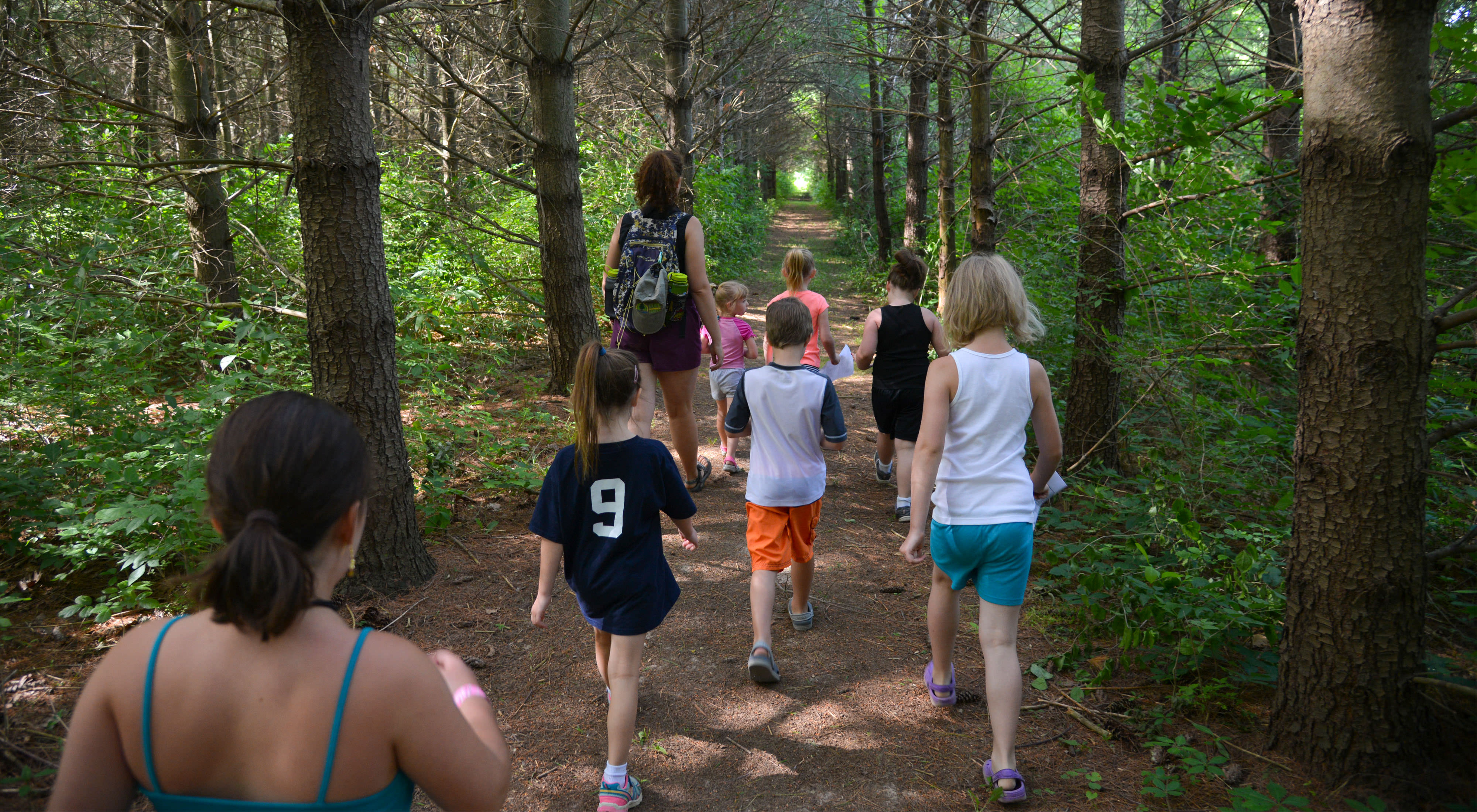 Several kids running down a corridor lined by tall trees.
