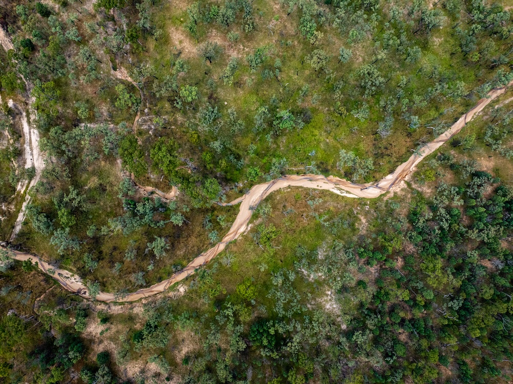Aerial shot of a pasture.