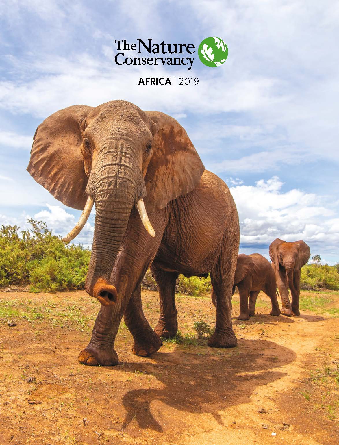 2019 Africa Year in Review