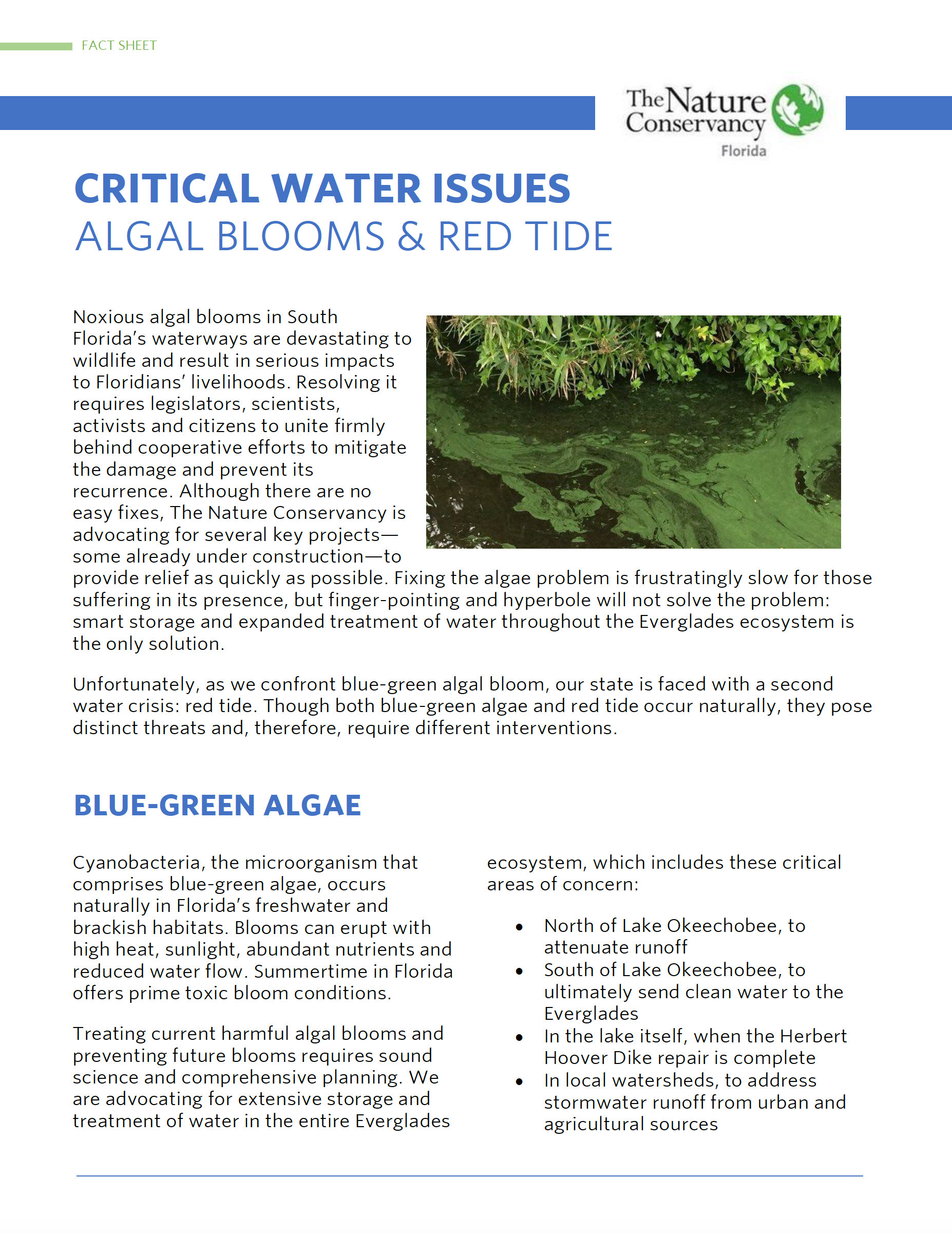 Algal Blooms and Red Tide Fact Sheet