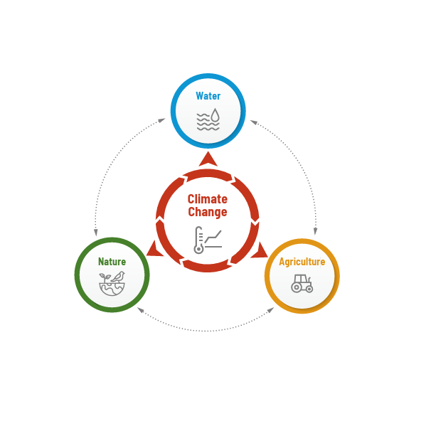 A graphic depicting the alignment of nature-based solutions.