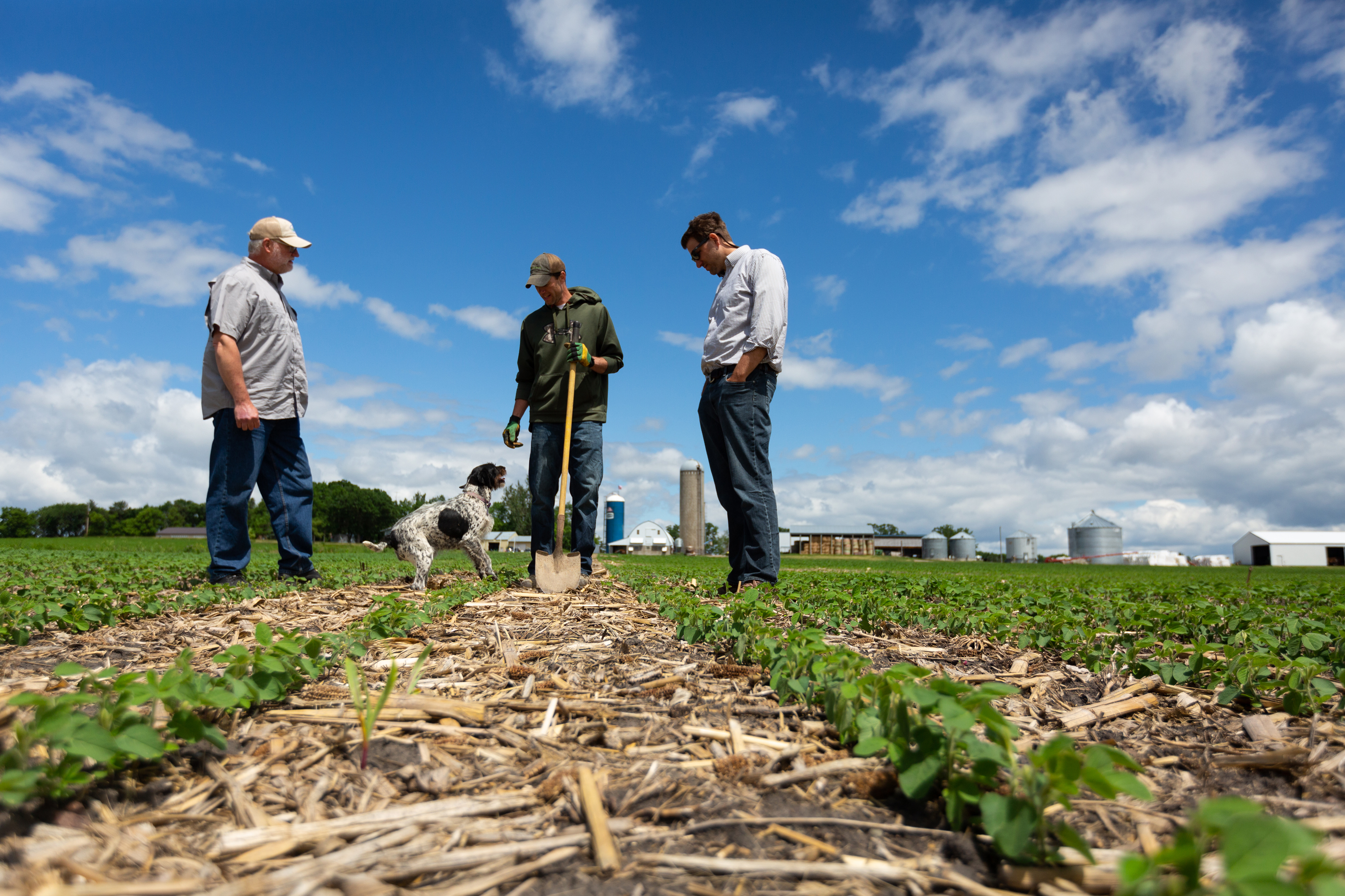 Two agronomists and a farmer standing in a field.