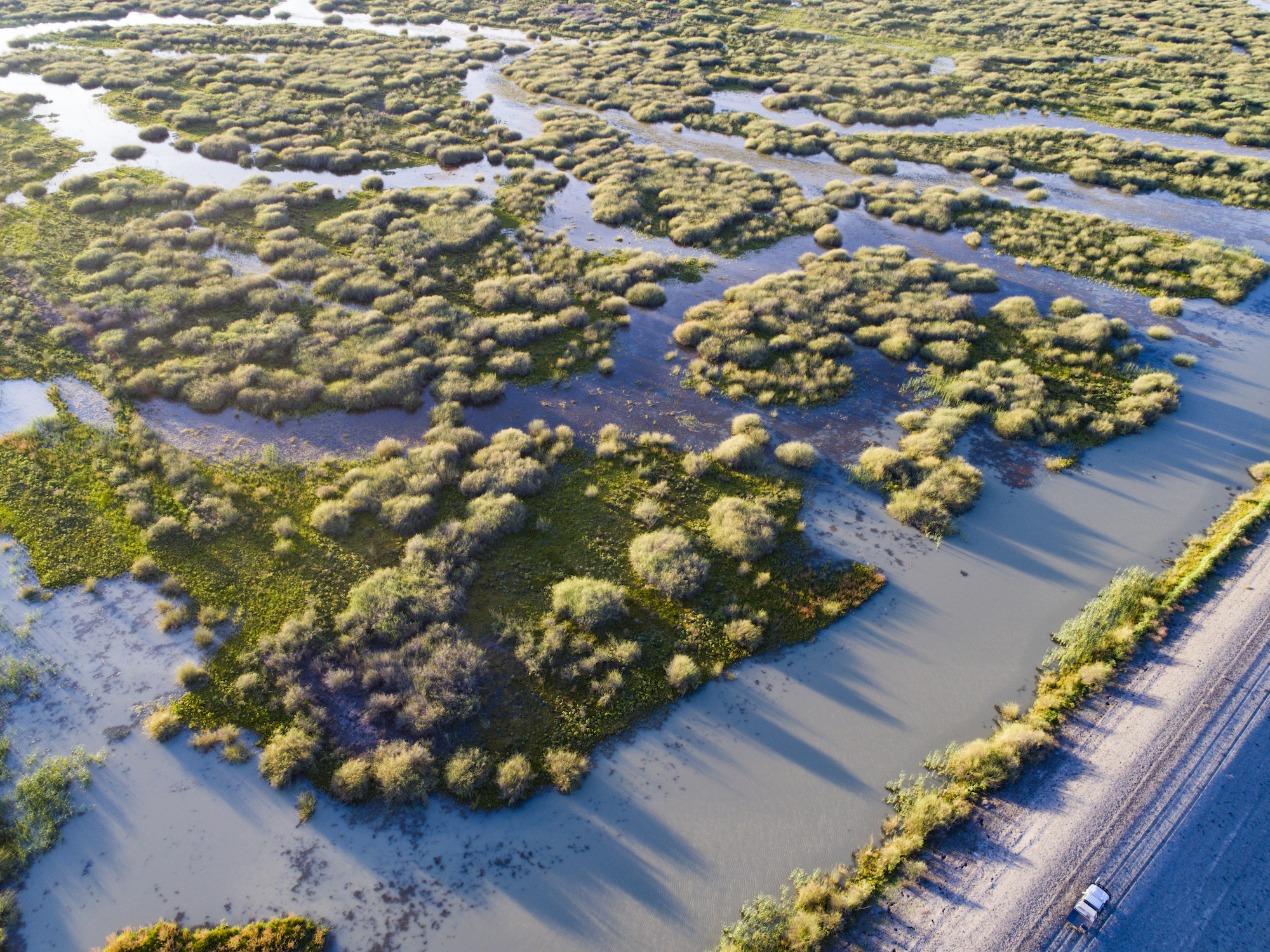 Aerial view of wetlands with a road in the corner.