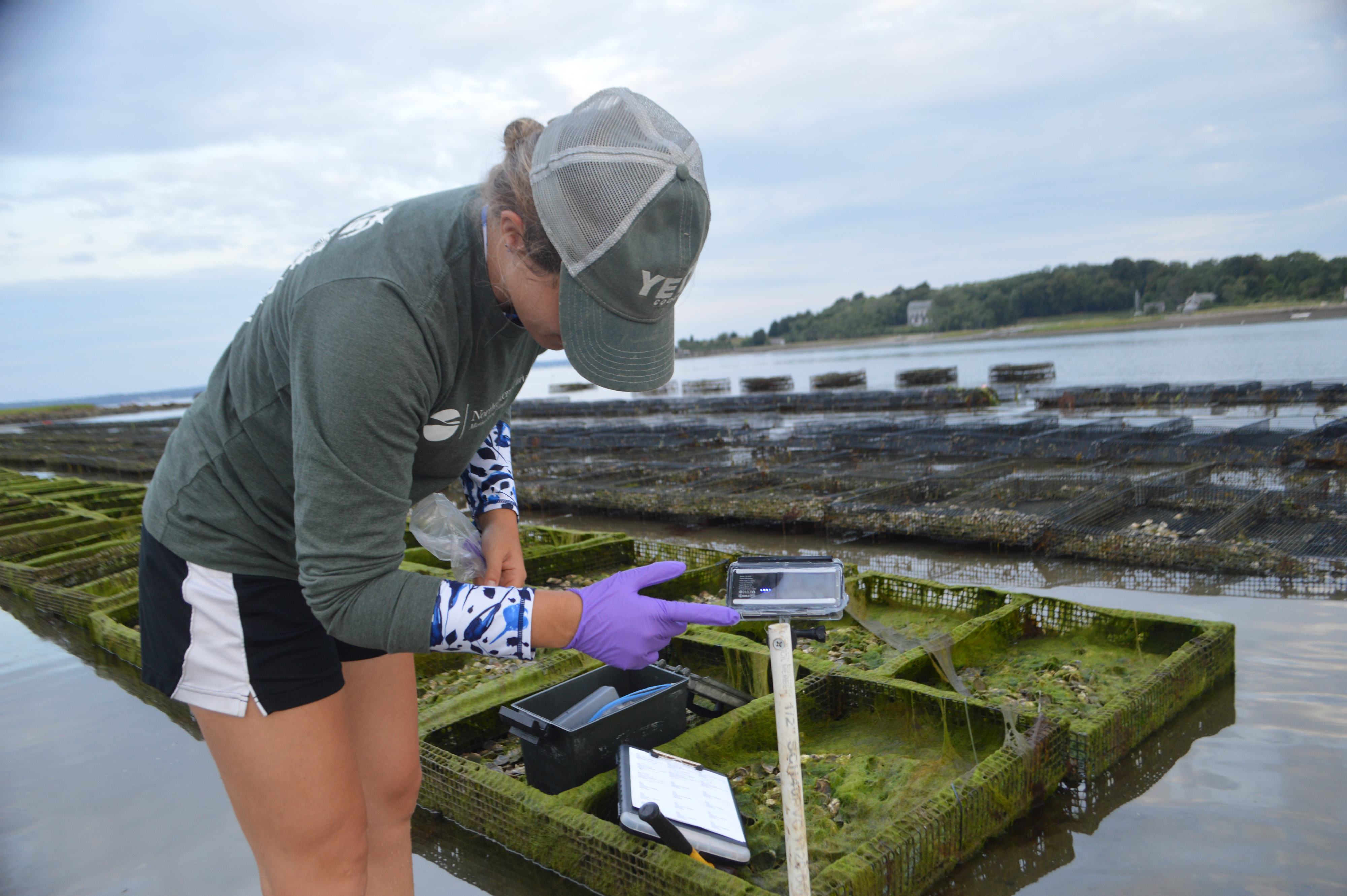 A woman, a camera on a stick and oyster cages on sand.