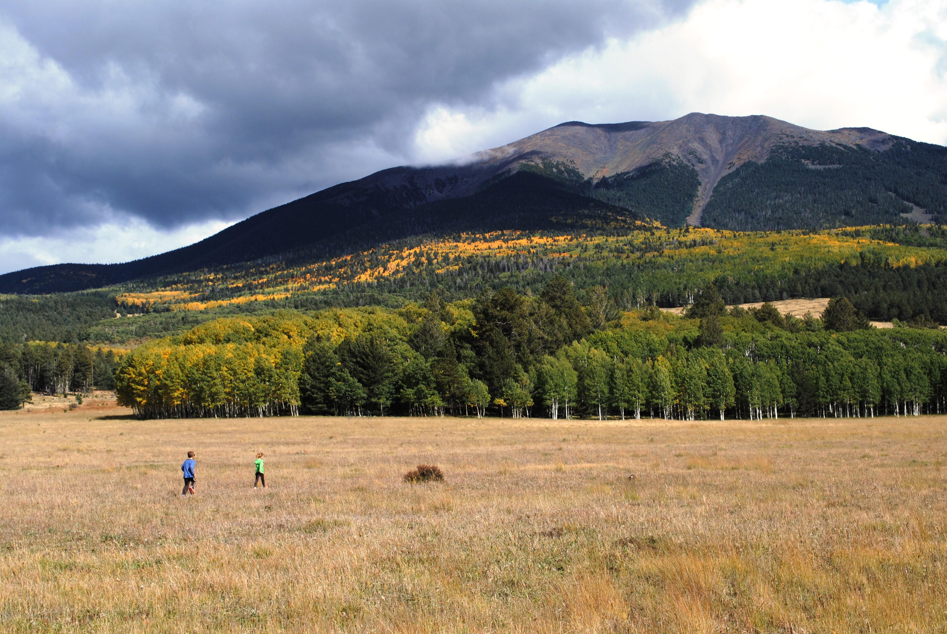 Children play in a vast field framed by mountains