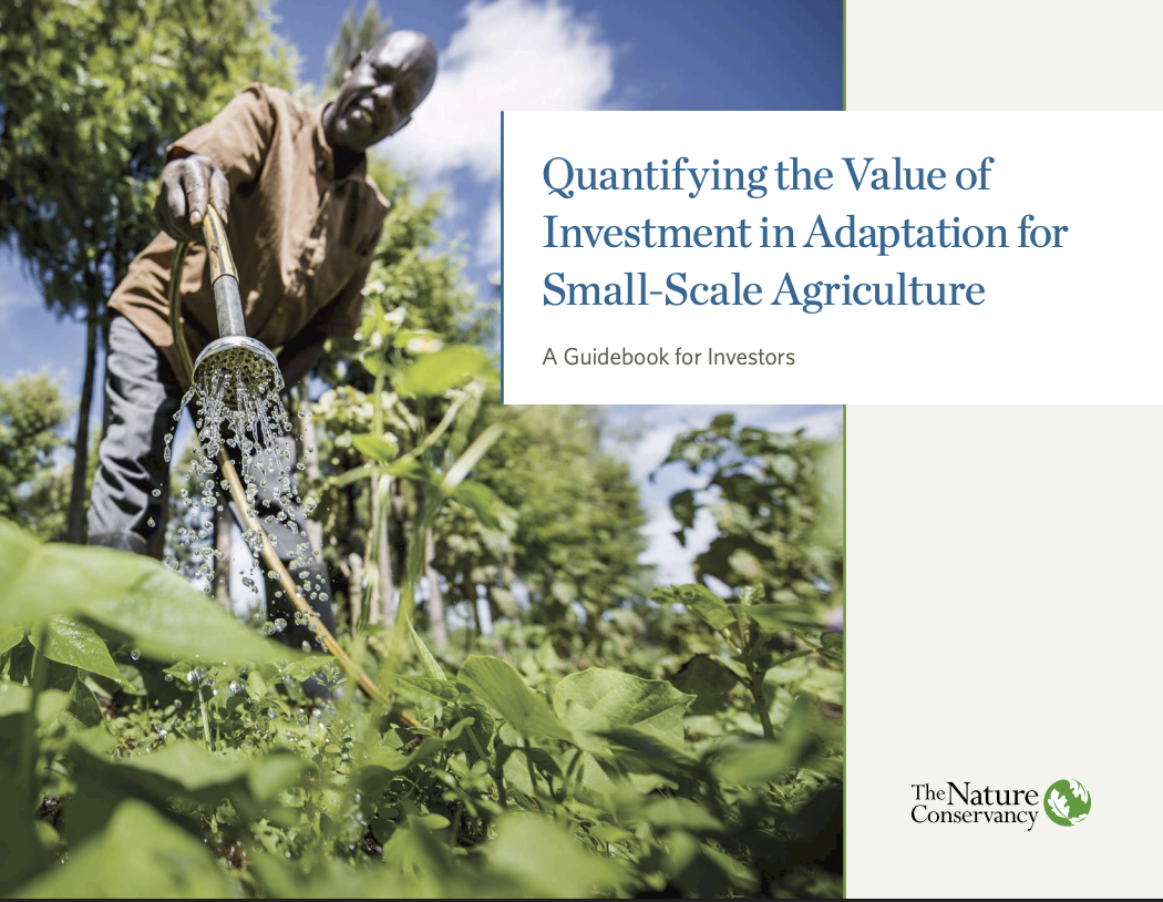 Quantifying the Value of Investment cover.