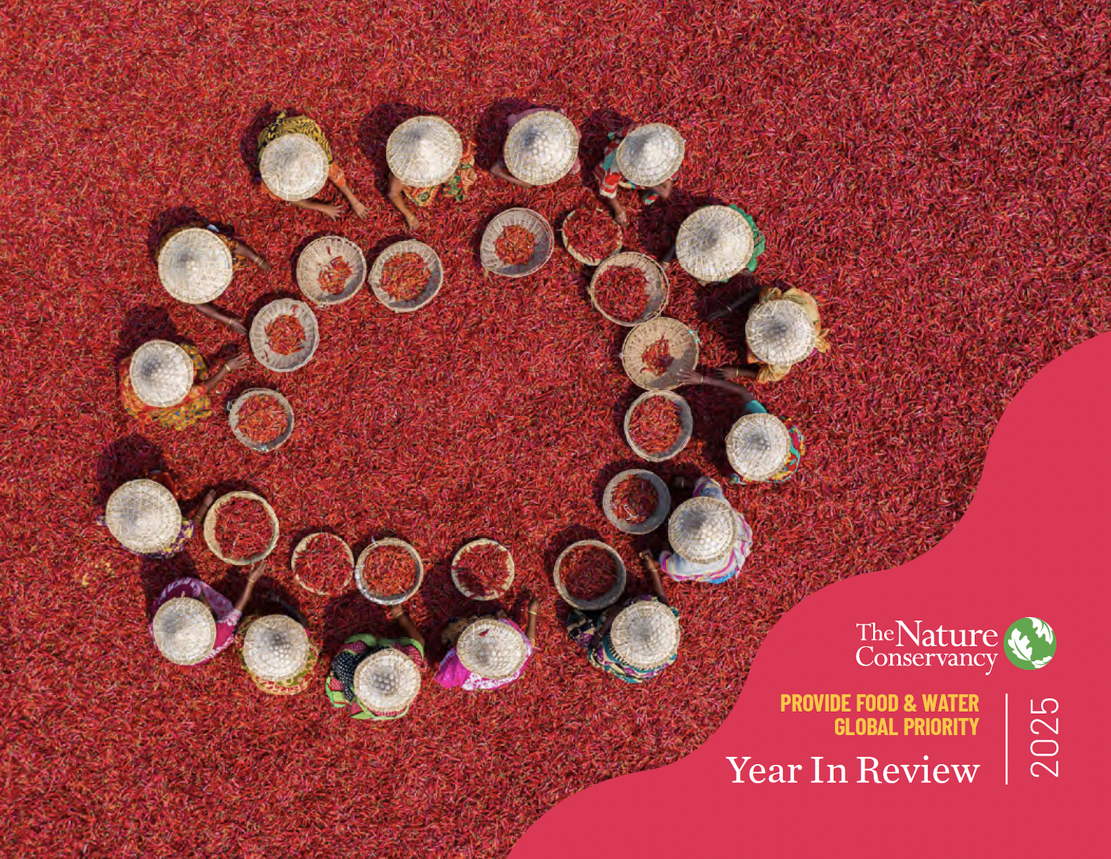 The cover of the annual report.