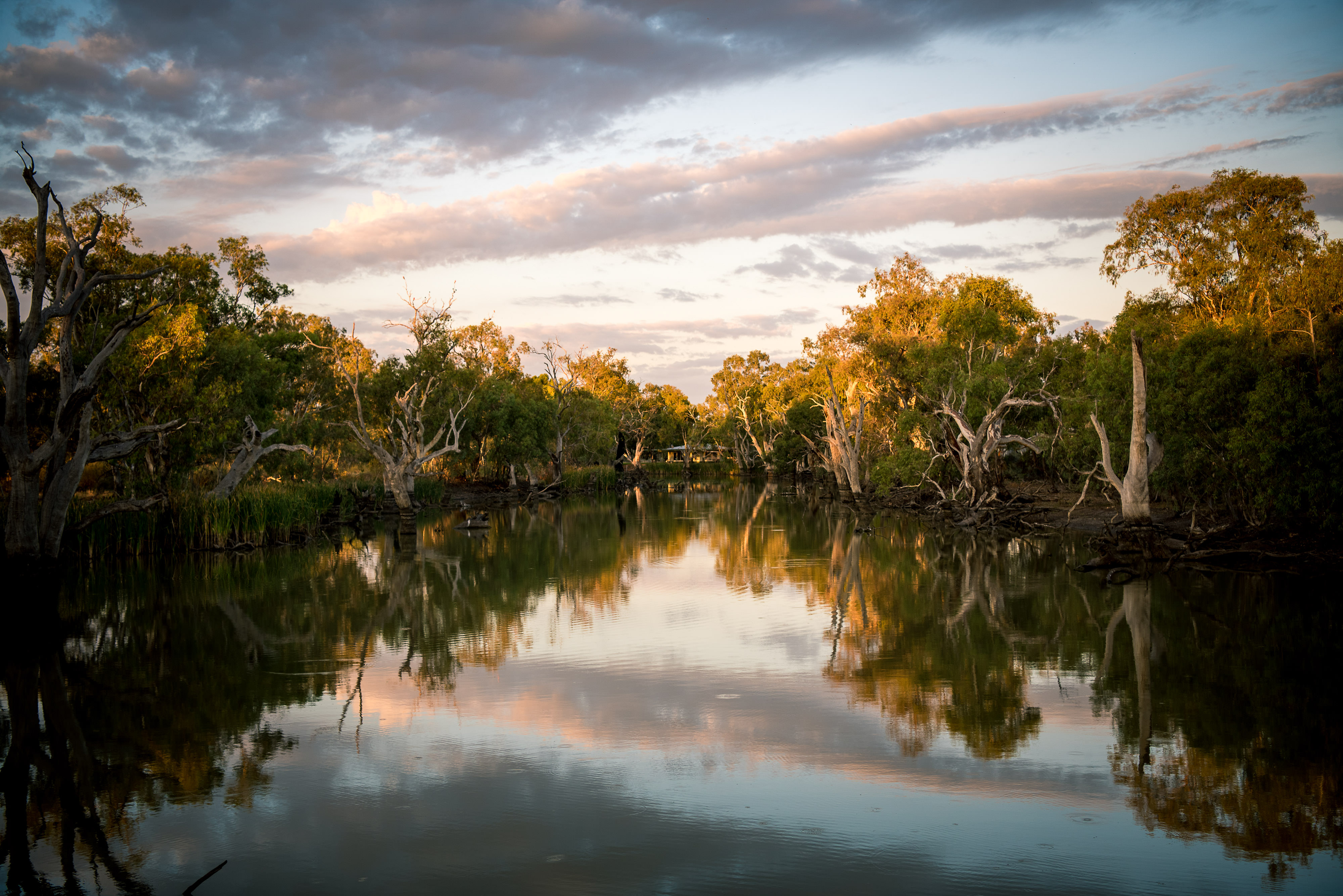 Water reflects trees and clouds in Gayini.