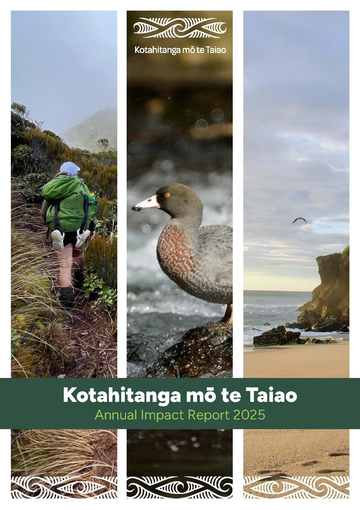 Three panels depicting a hiker, grey duck and beach.