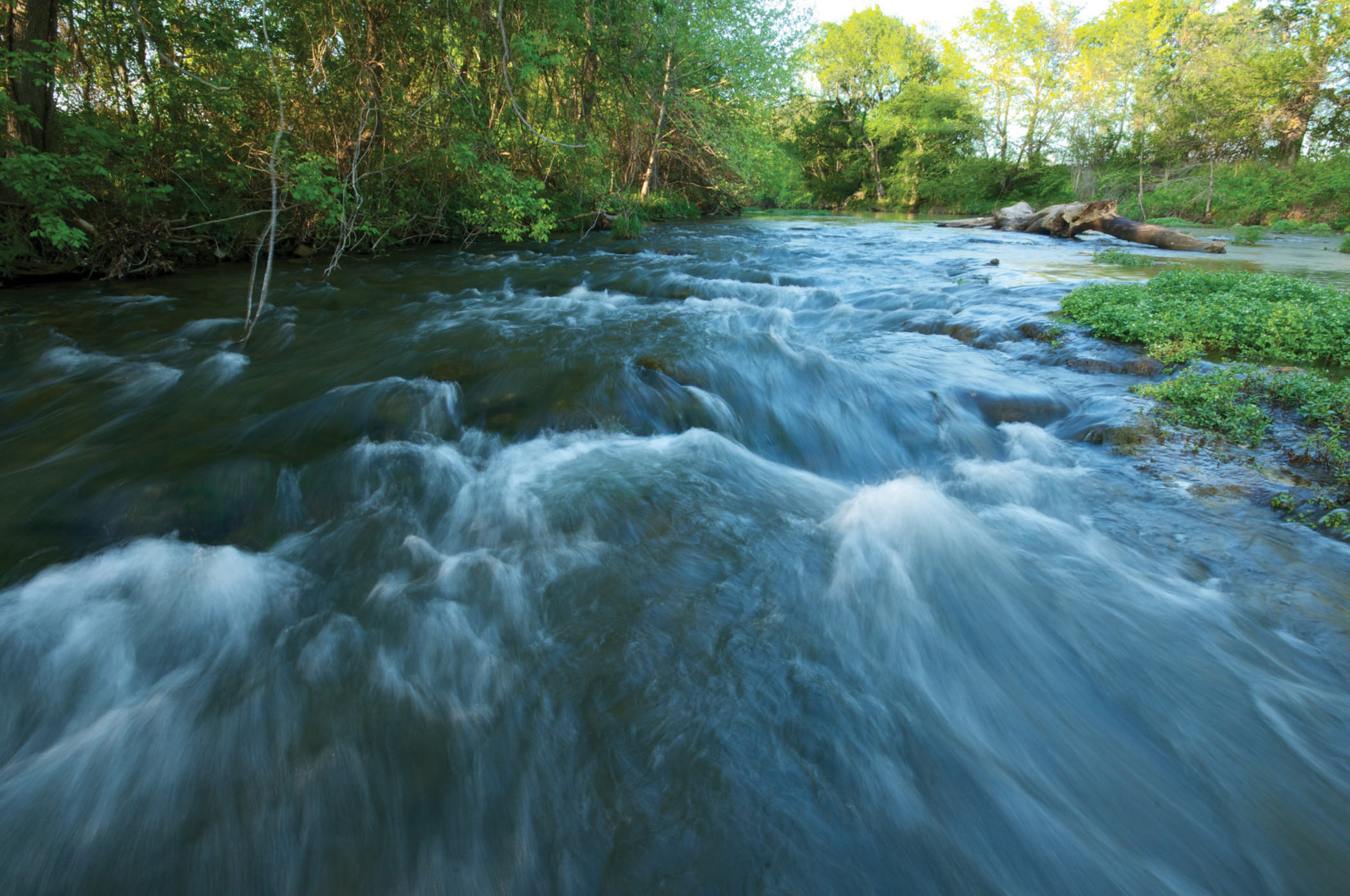 The Blue River at Oka' Yanahli Preserve.
