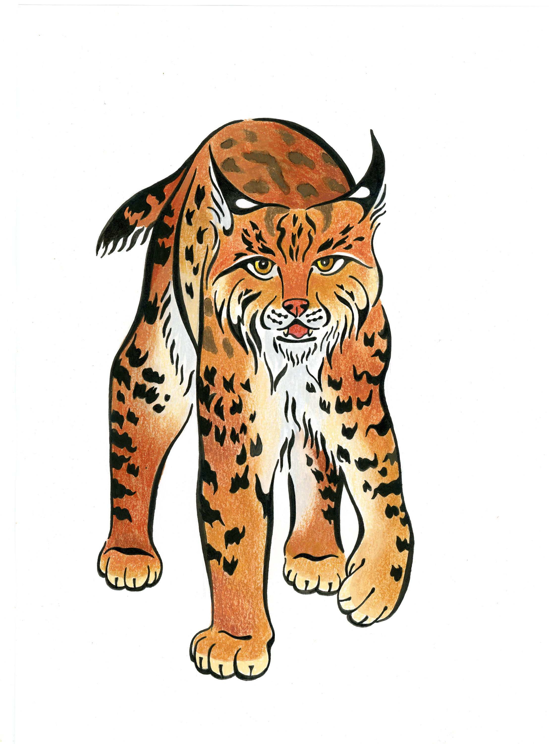 Illustration of an orange bobcat with black spots.