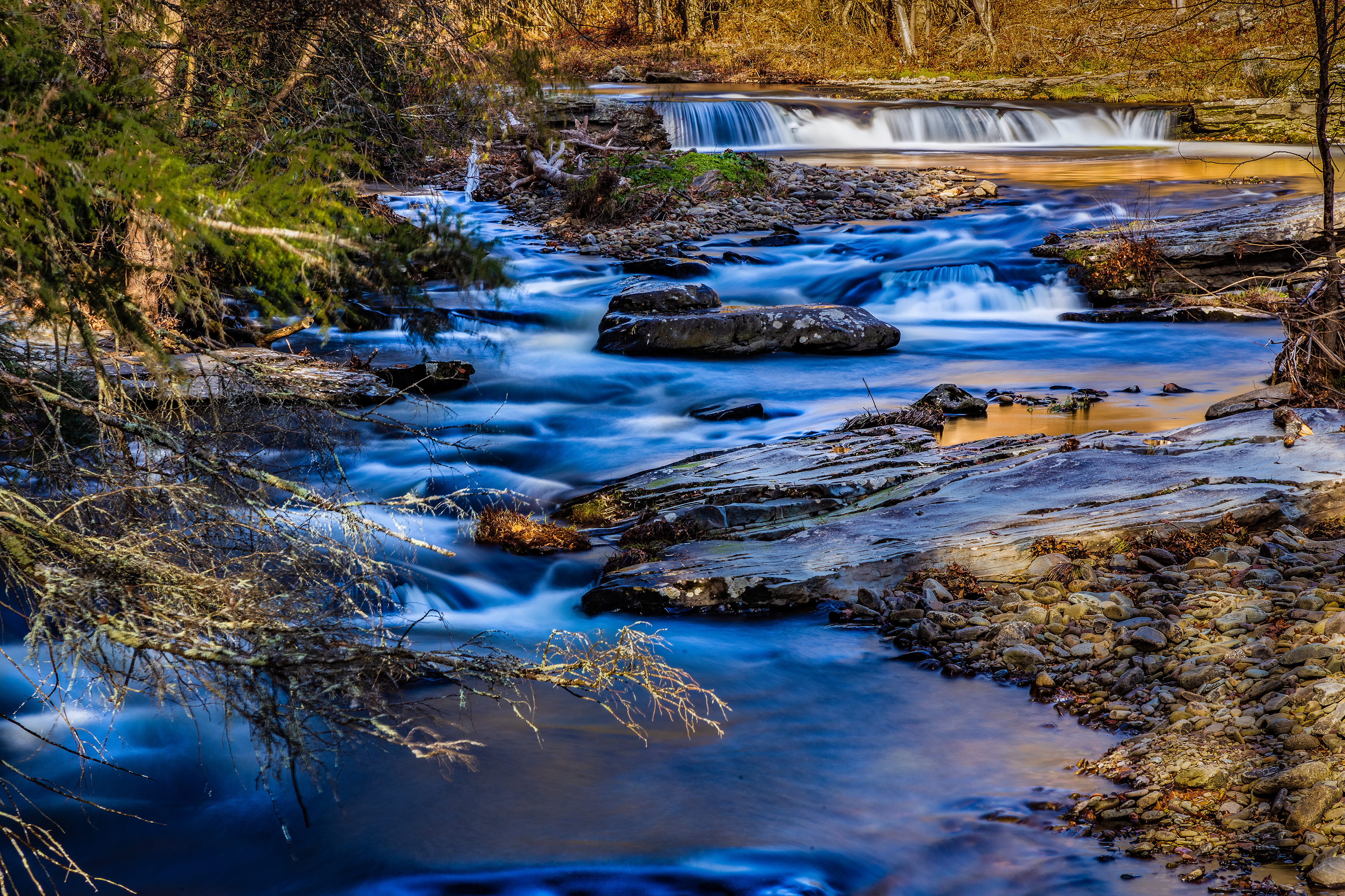 A low view of a stream running through woods.