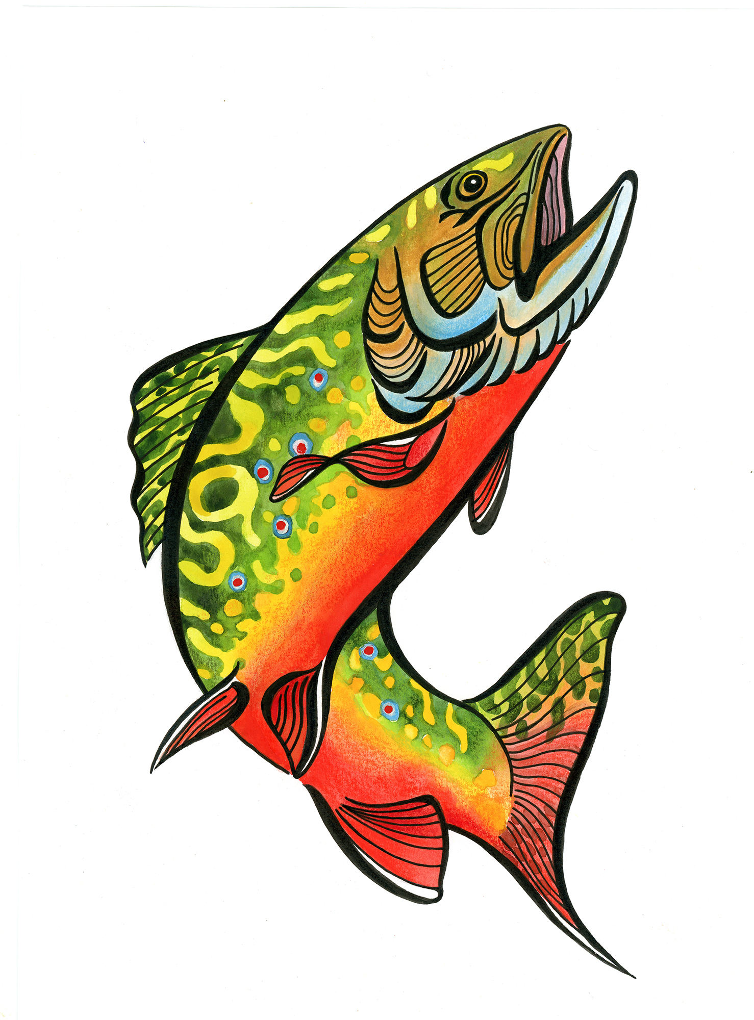 Illustration of green and gold fish with orange belly.