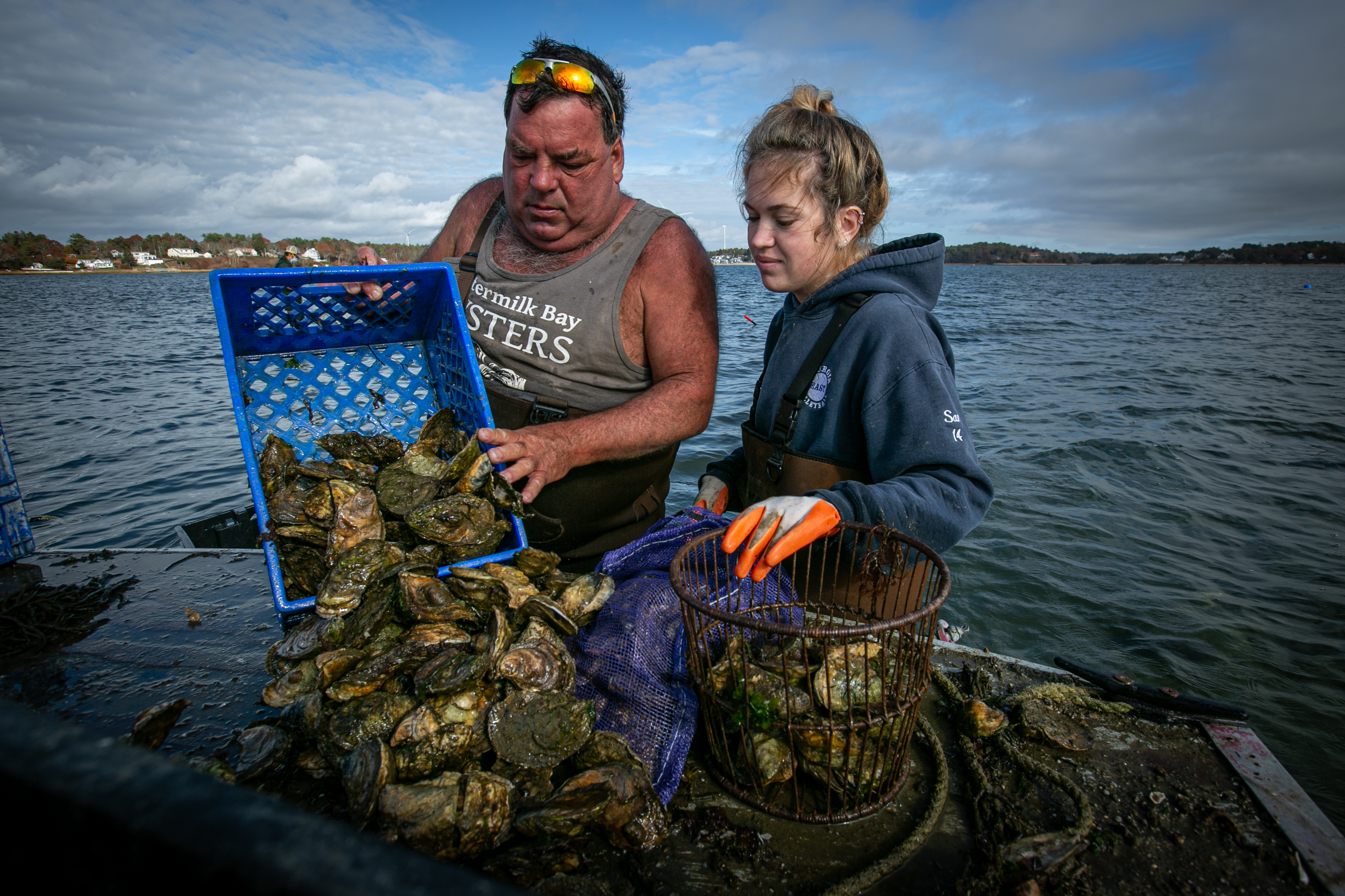 Two people stand in water with oysters in bins.