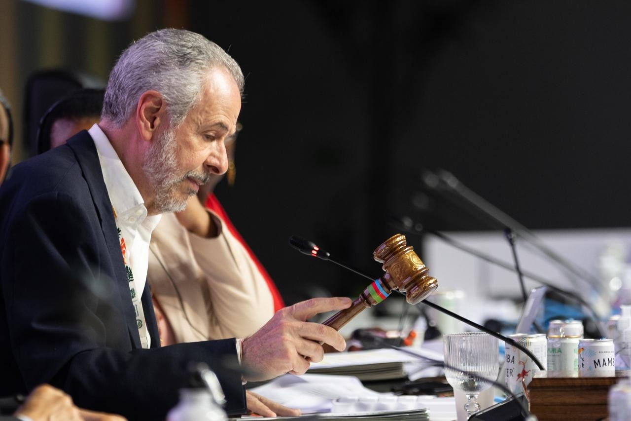 COP30 president, André Correa do Lago, closing the final plenary. 