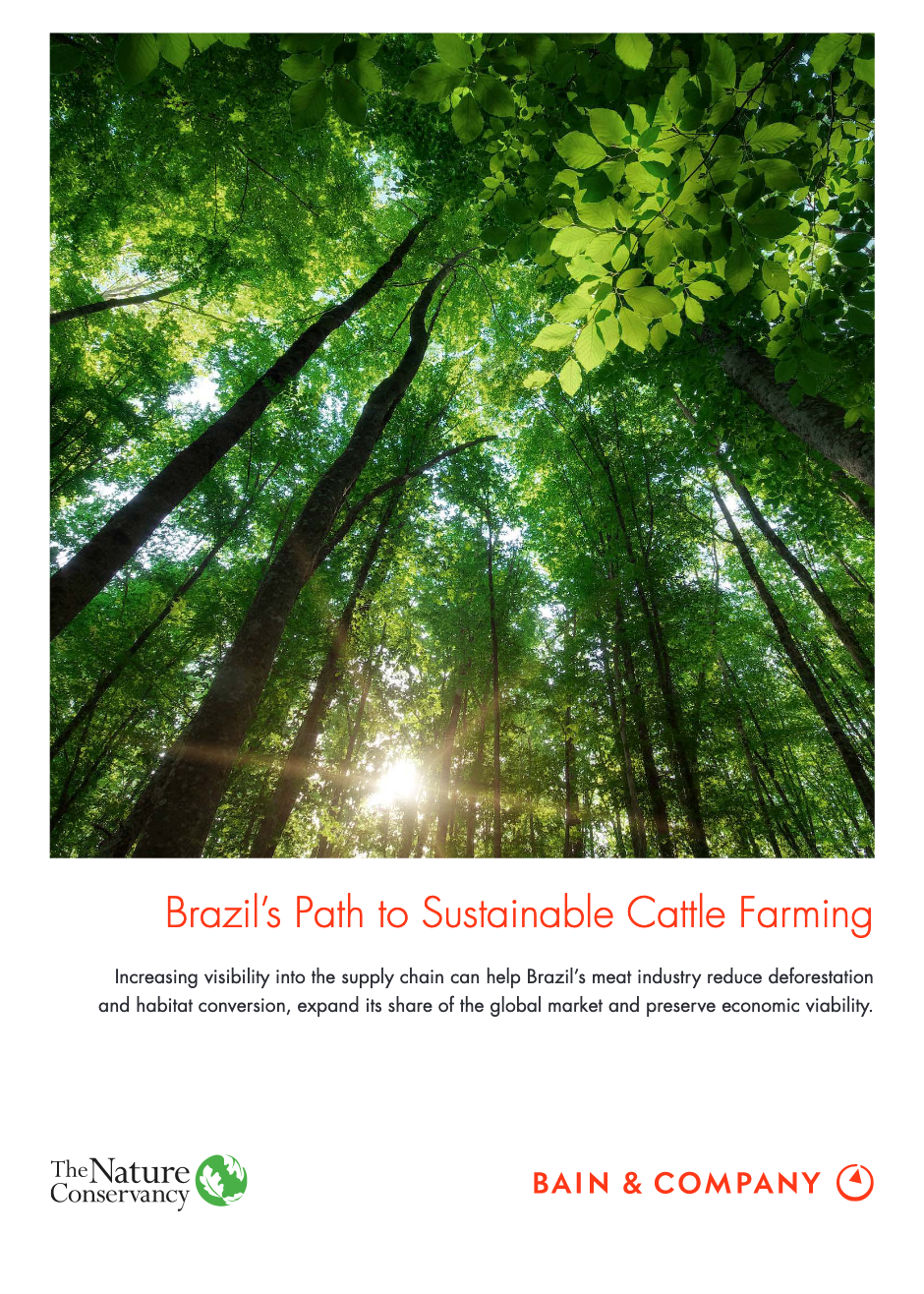  Brazil's Path to Sustainable Cattle Farming