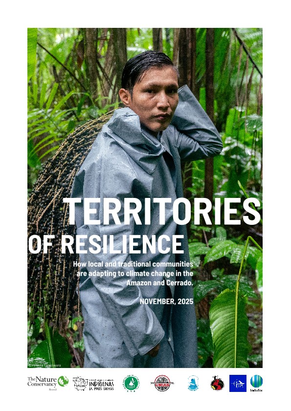 Cover for Territorial of Resilience report, with an Indigenous person collecting açaí in Indigenous Land in Oiapoque-AP, in the Amazon.