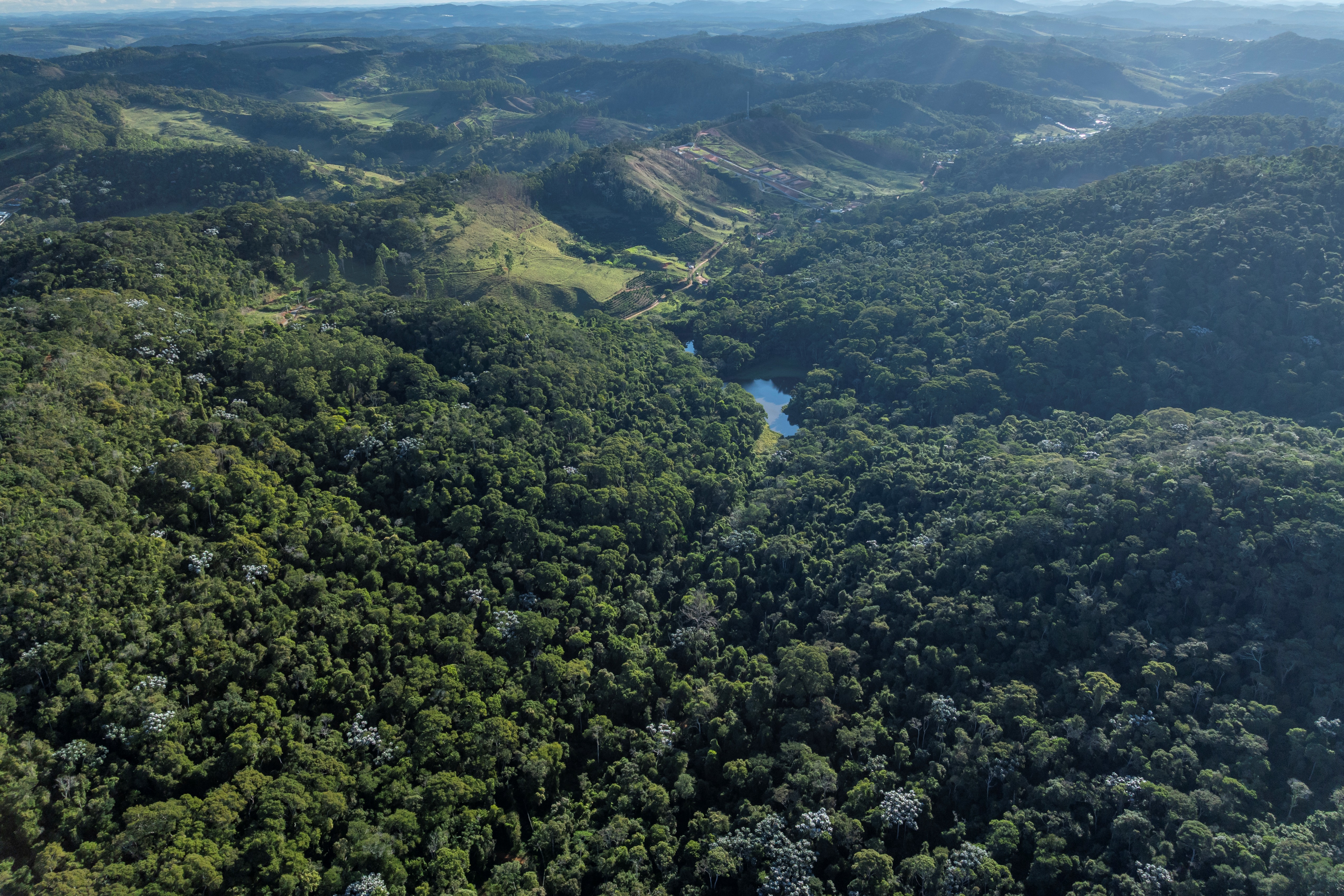 Aerial view of Atlantic Forest, Brazil. 