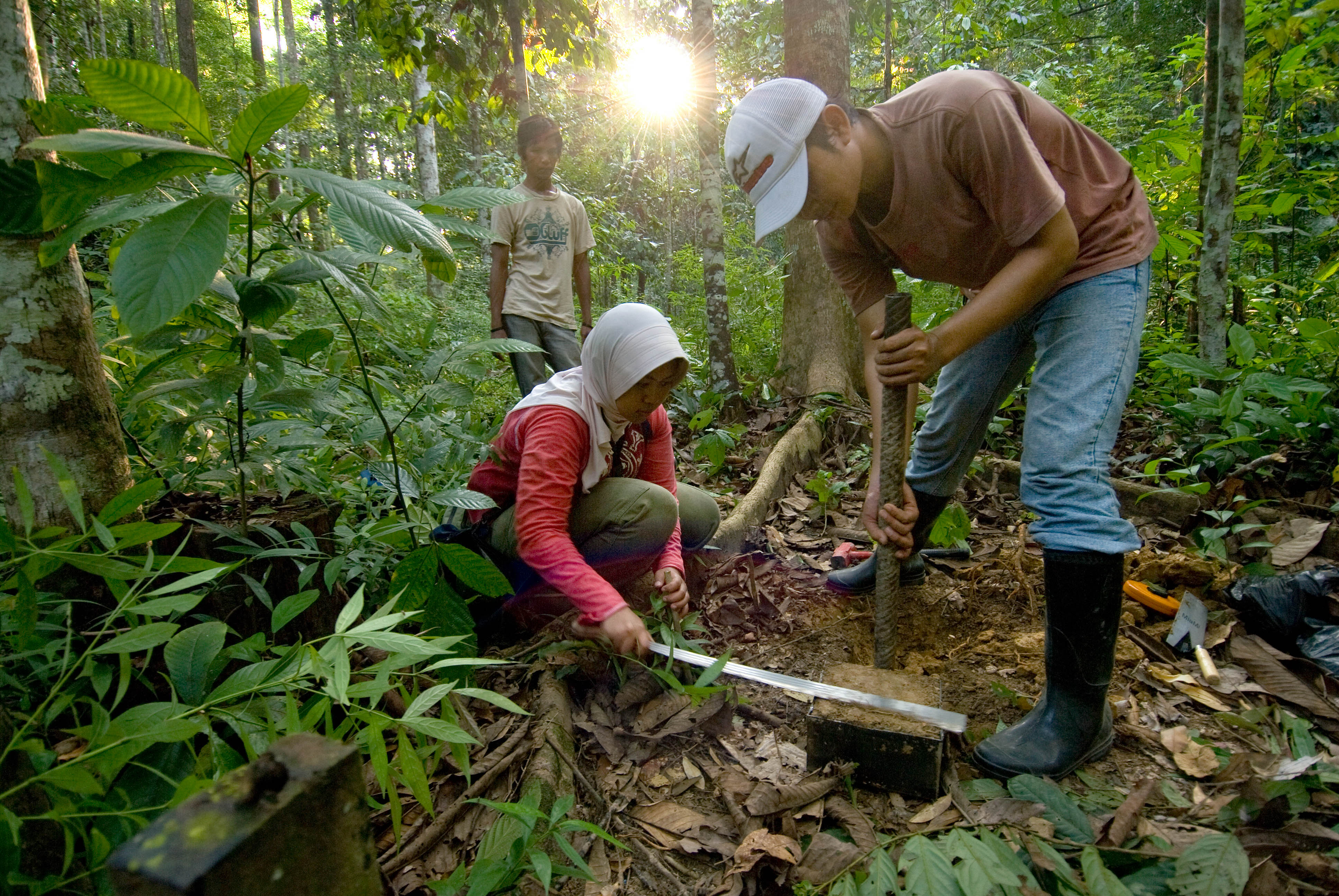A woman wearing a white hijab and long-sleeved pink shirt collects soil in a tropical forest with a man wearing a white baseball cap, reddish brown shirt, blue jeans, and rubber boots helping to shovel.