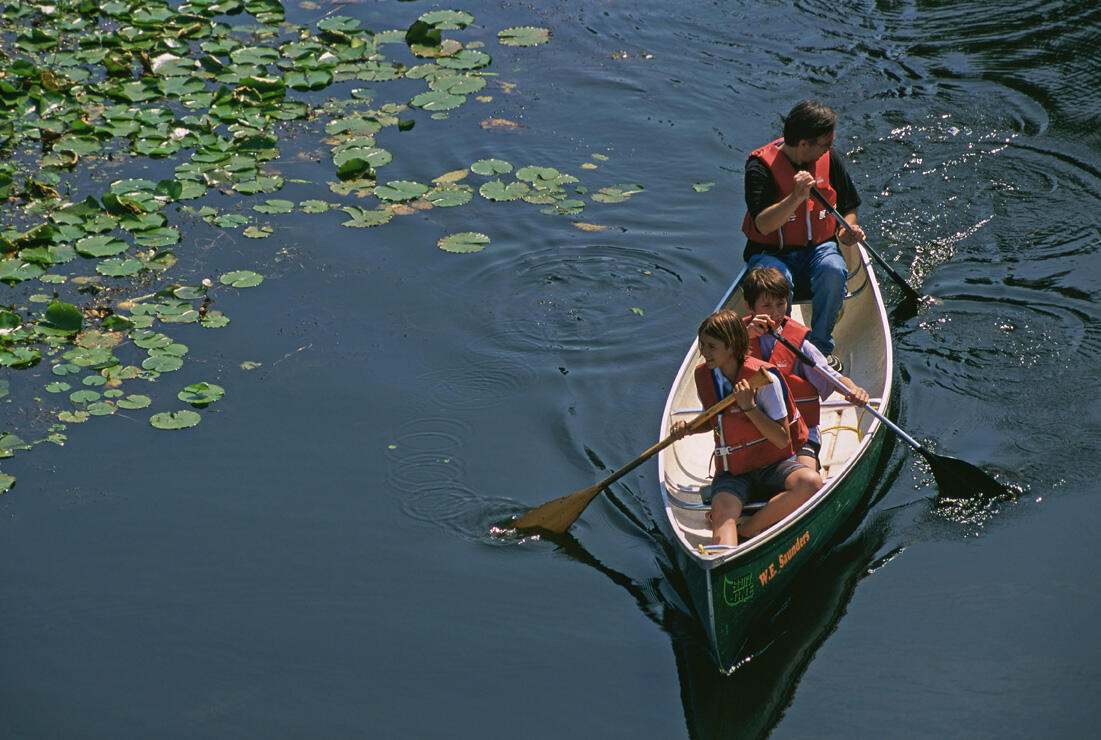 Overhead view of three people paddling in a canoe.