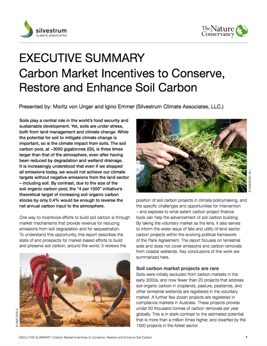 Carbon Market Incentives to Conserve, Restore and Enhance Soil Carbon - Executive Summary