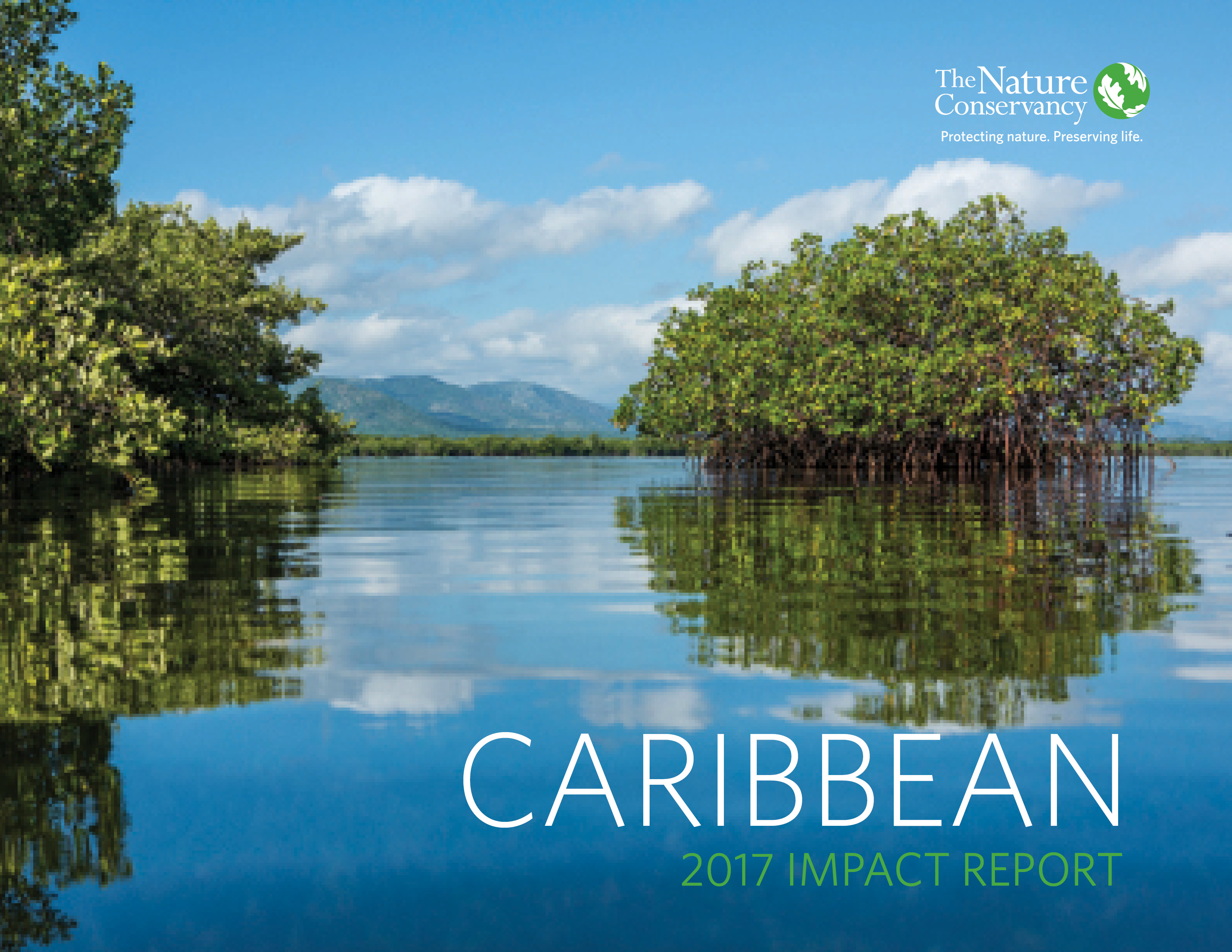 Caribbean Impact Report 2017 cover image