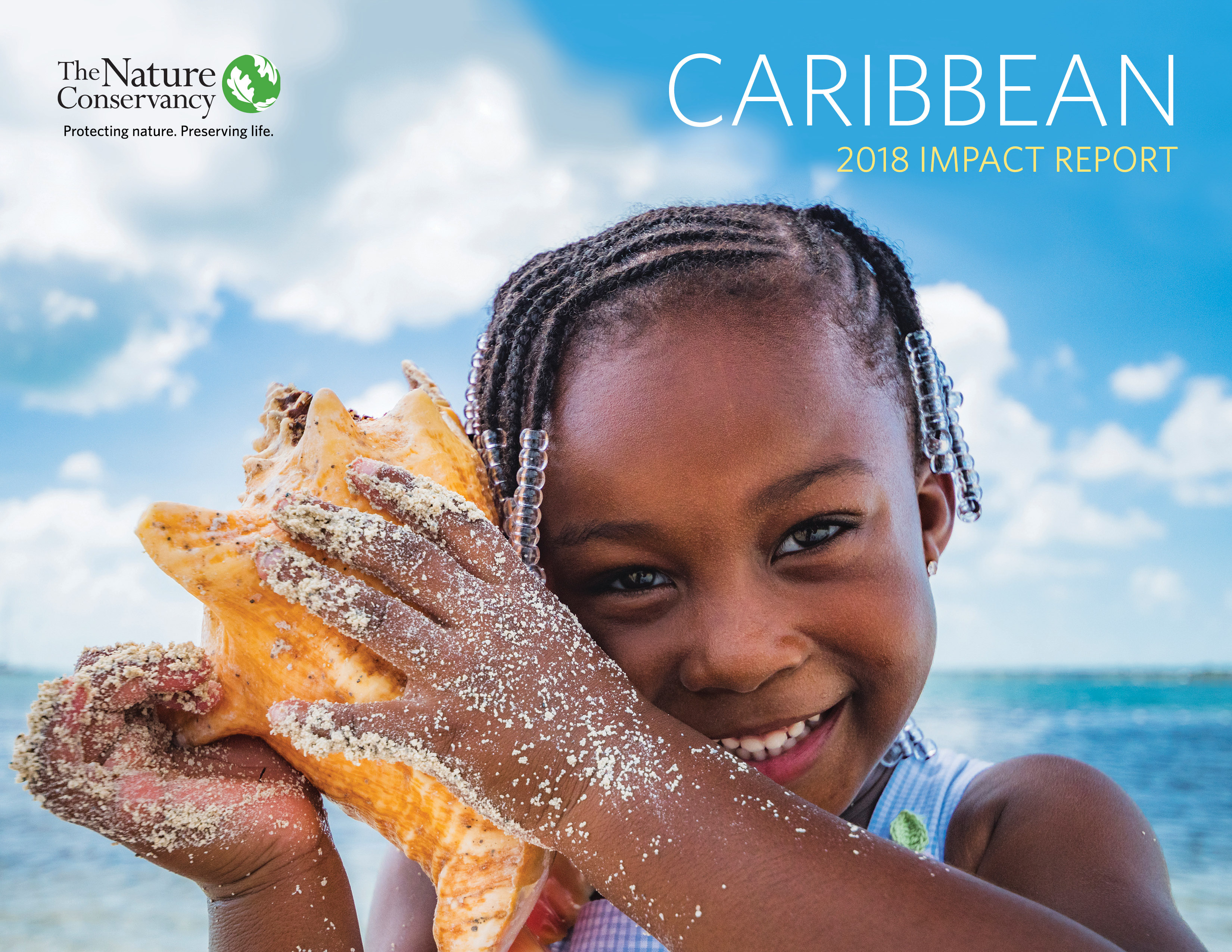 Caribbean Impact Report 2018 cover image