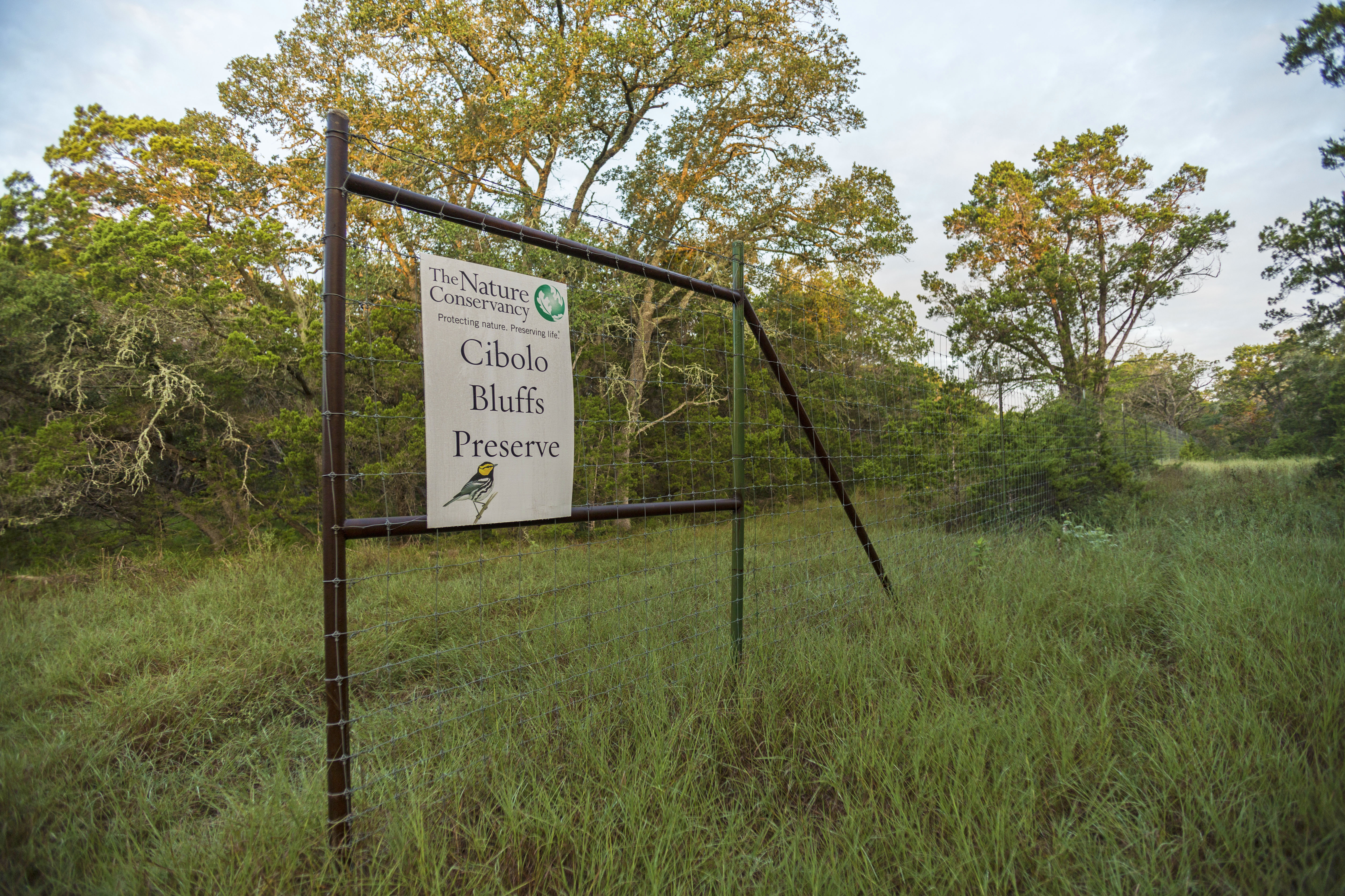The Cibolo Bluffs Preserve sign sits on a wire fence.