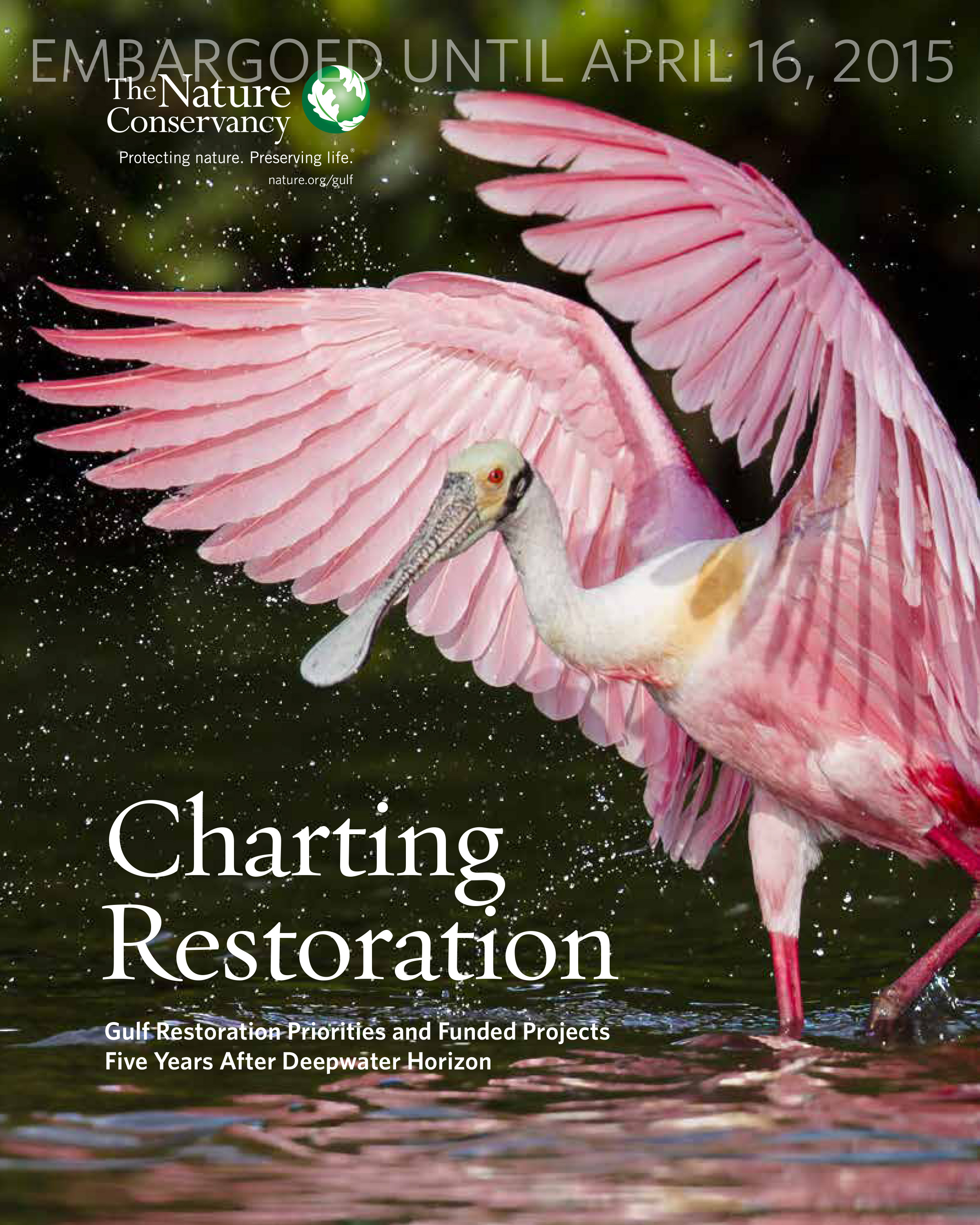 Charting Restoration 2015 Report Cover